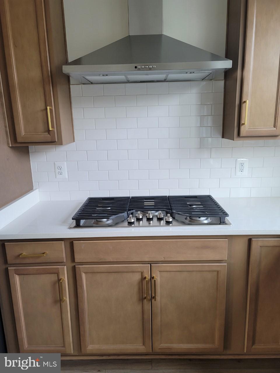 LAKE FREDERICK - Residential Lease