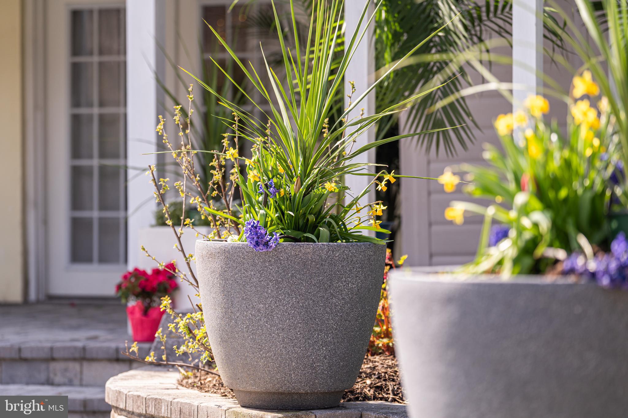 CHESTERFORD - Residential