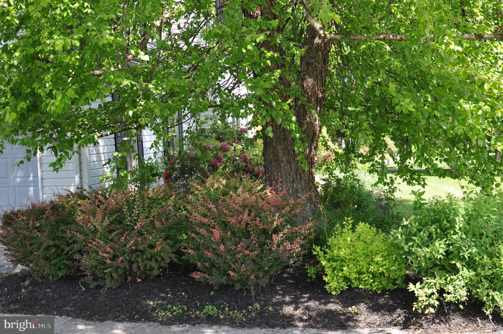 CODORUS PARK/LAKE MARBURG - Residential