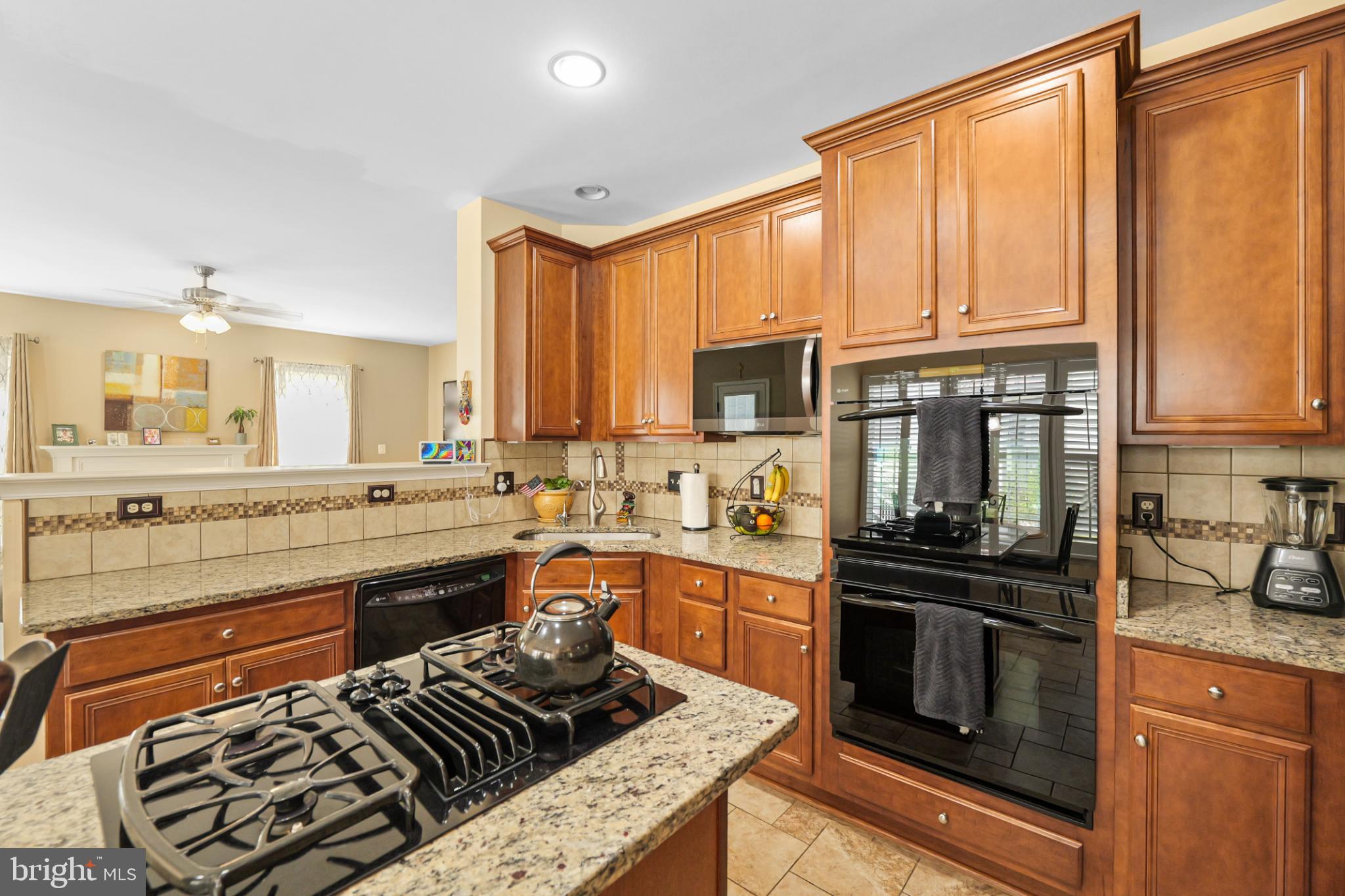 MEADOWS AT MORRIS FARM - Residential