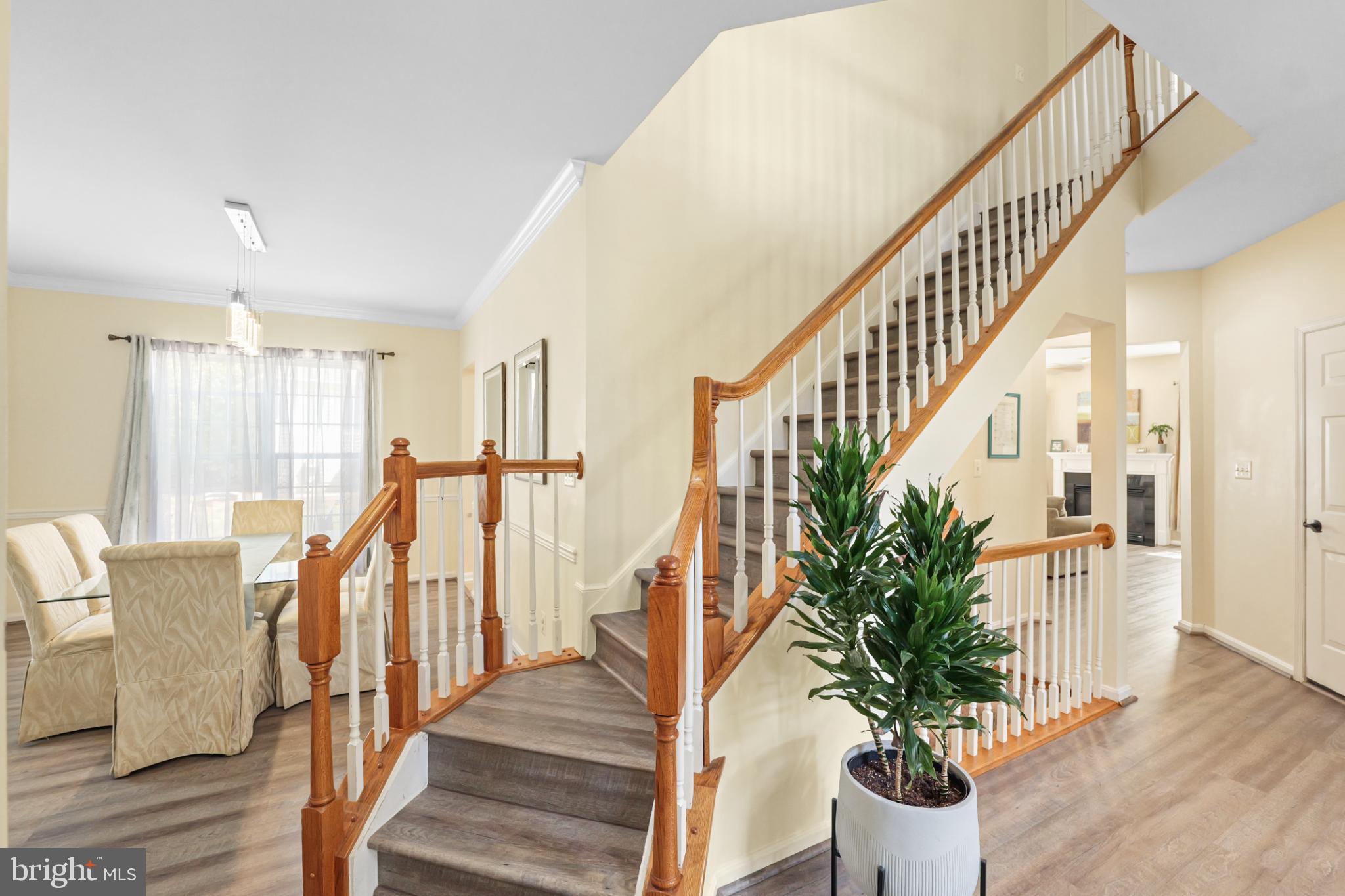 MEADOWS AT MORRIS FARM - Residential