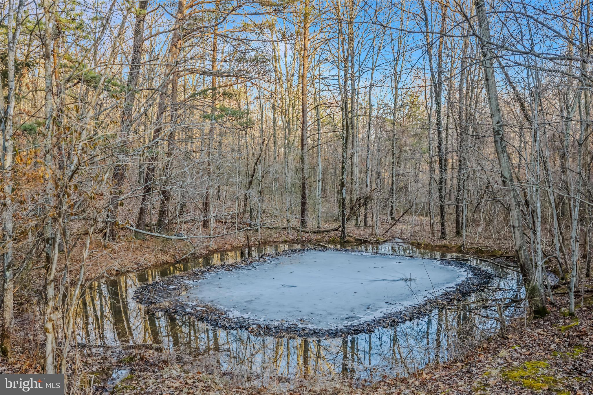 CARMEL RIDGE - Residential