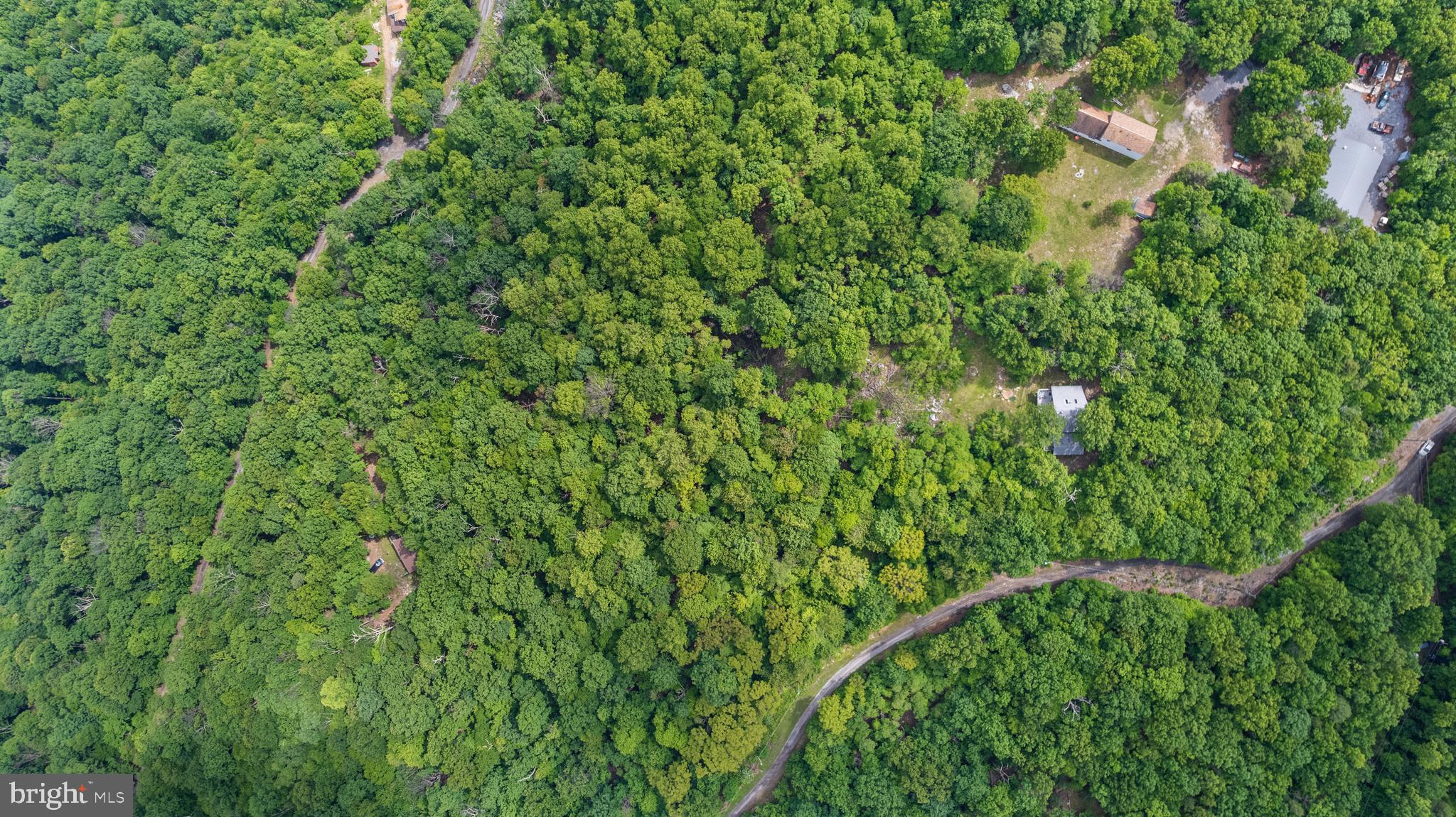 SPRUCE PINE HOLLOW - Residential