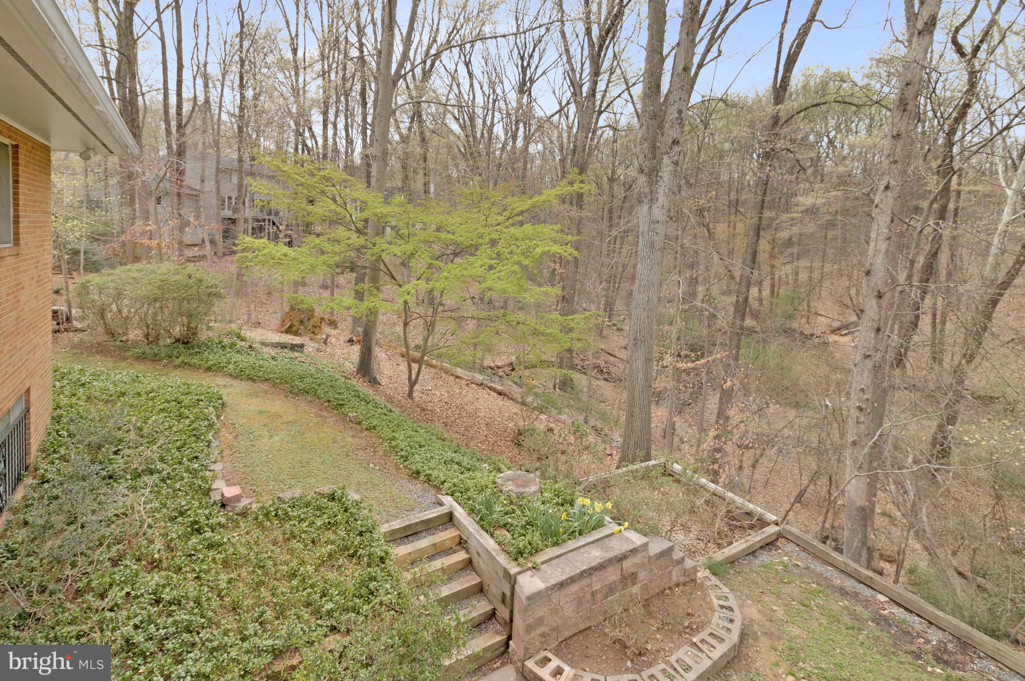 CHAIN BRIDGE FOREST - Residential