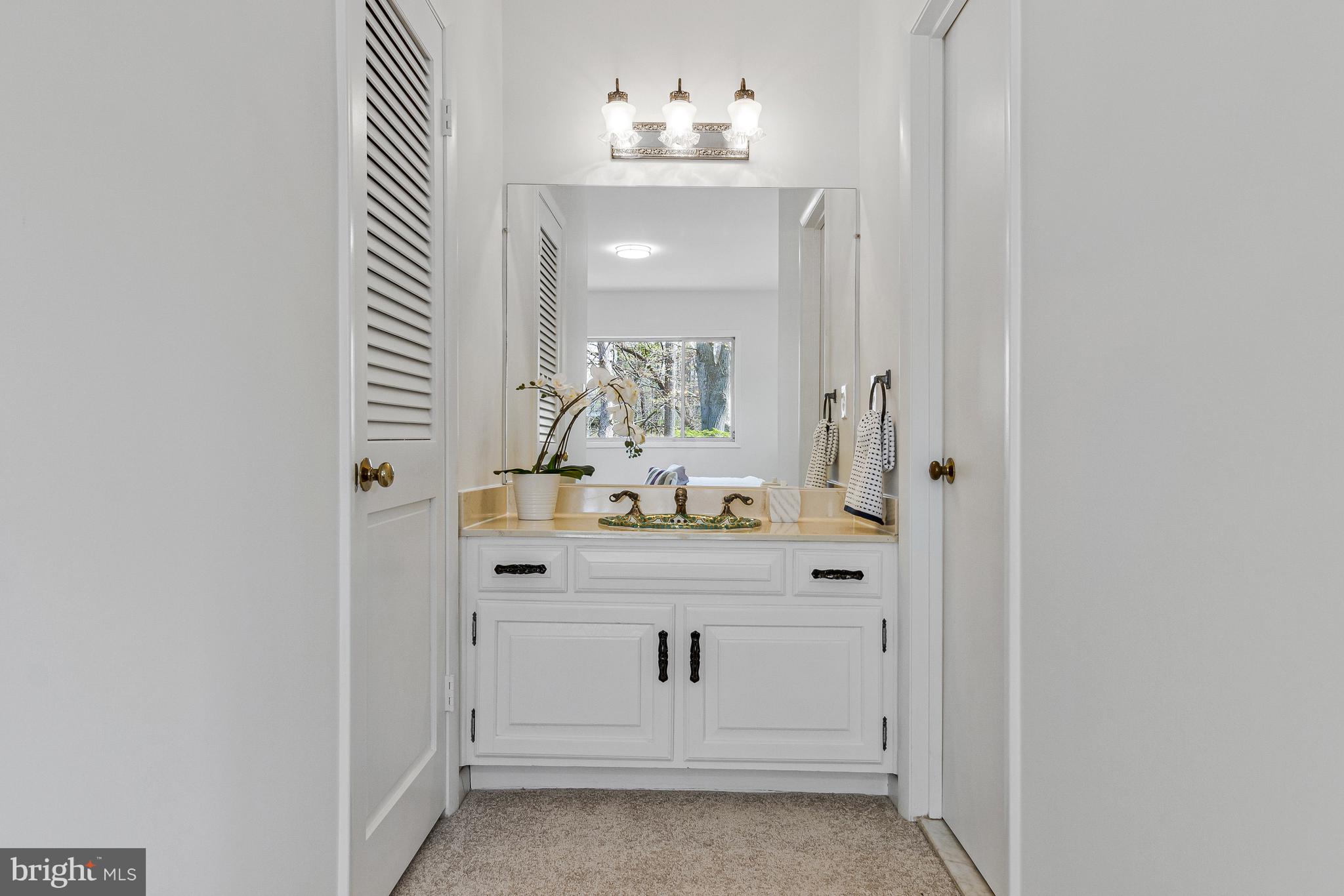 CHAIN BRIDGE FOREST - Residential