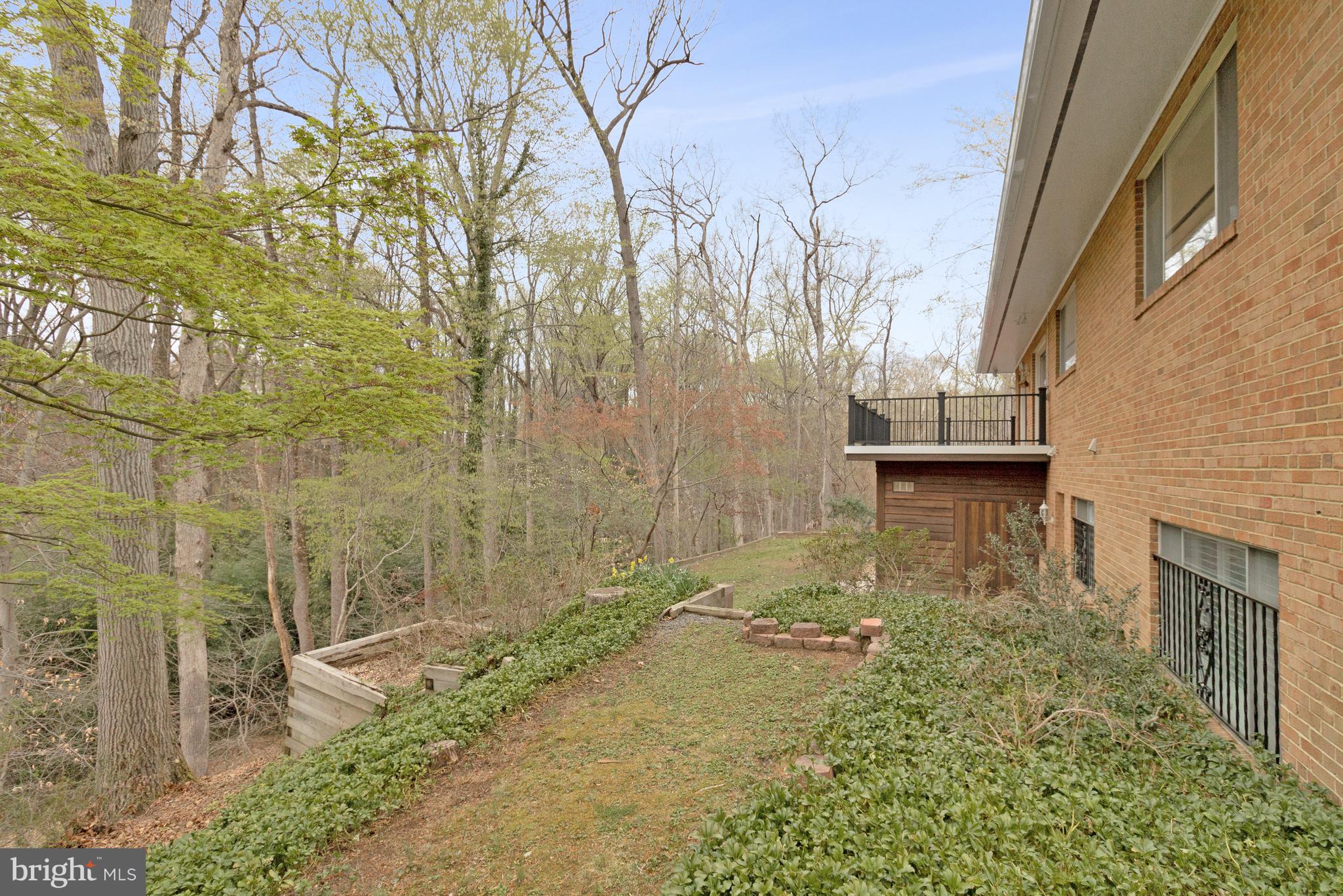 CHAIN BRIDGE FOREST - Residential