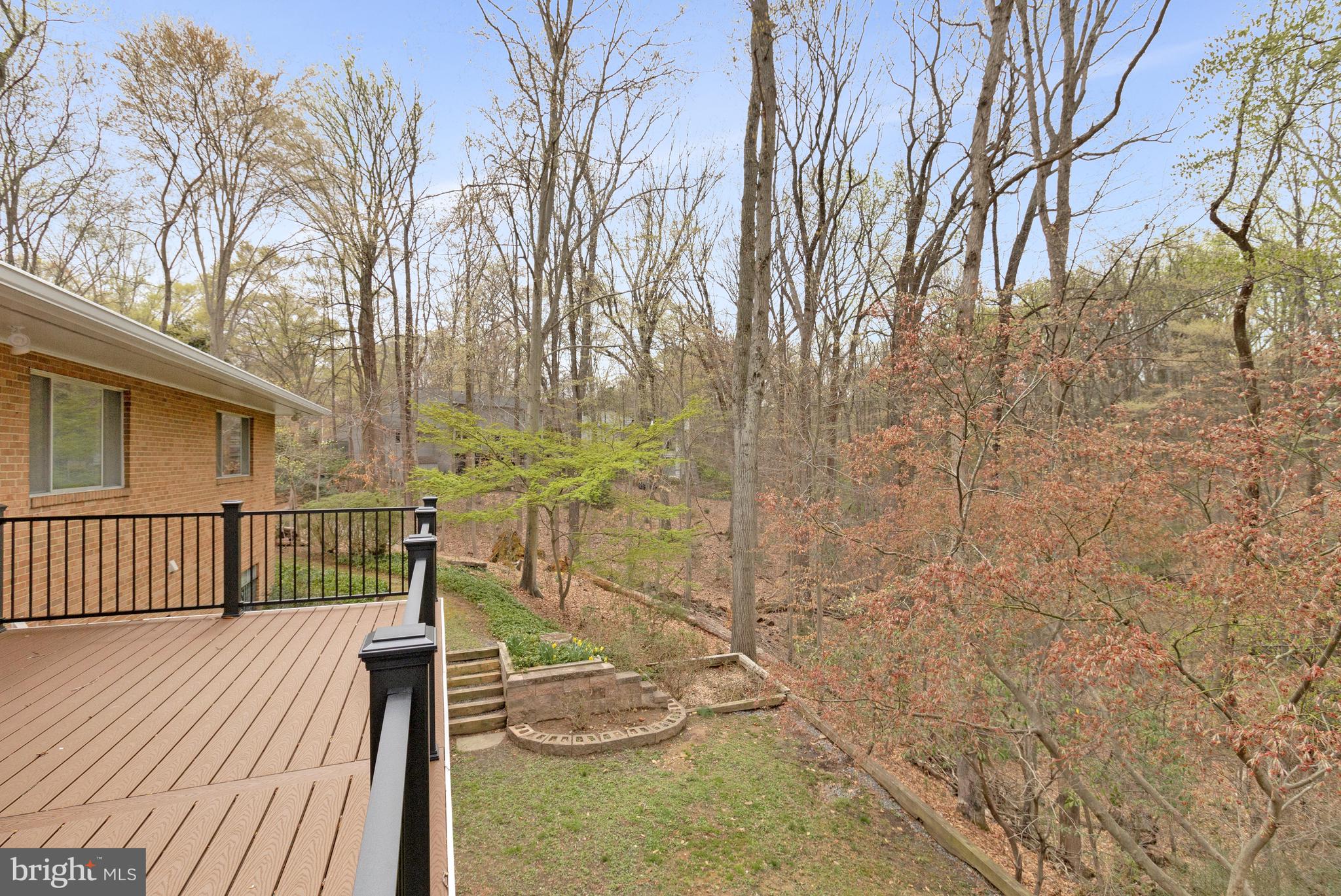 CHAIN BRIDGE FOREST - Residential