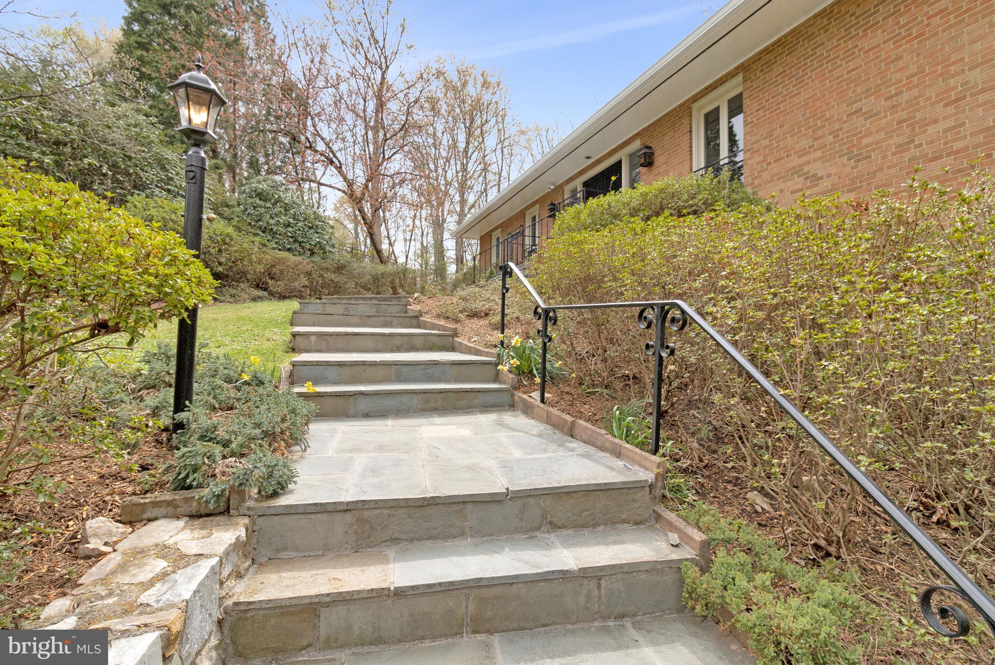 CHAIN BRIDGE FOREST - Residential