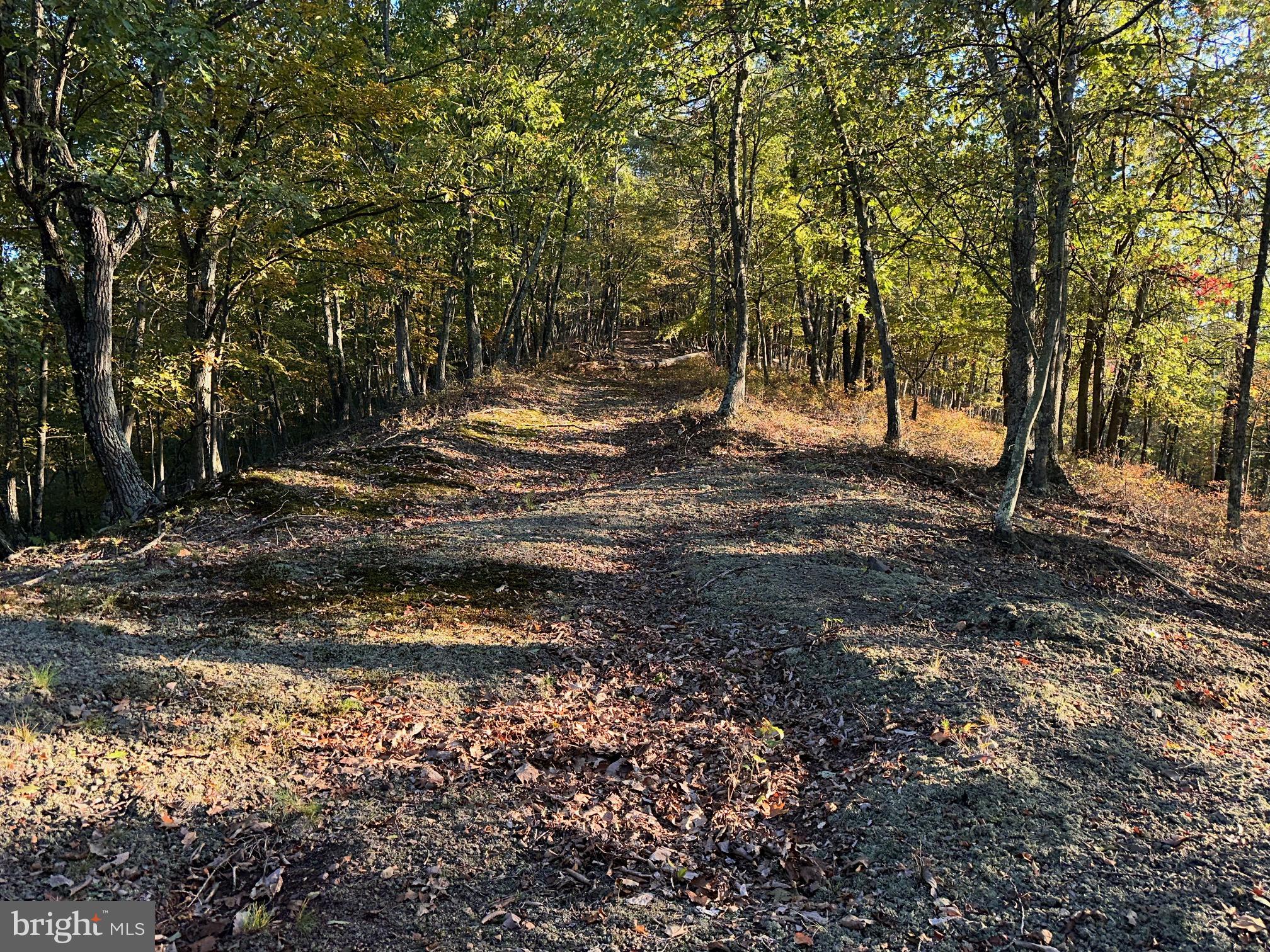 VALLEY HIGH TIMBER FARMS - Residential