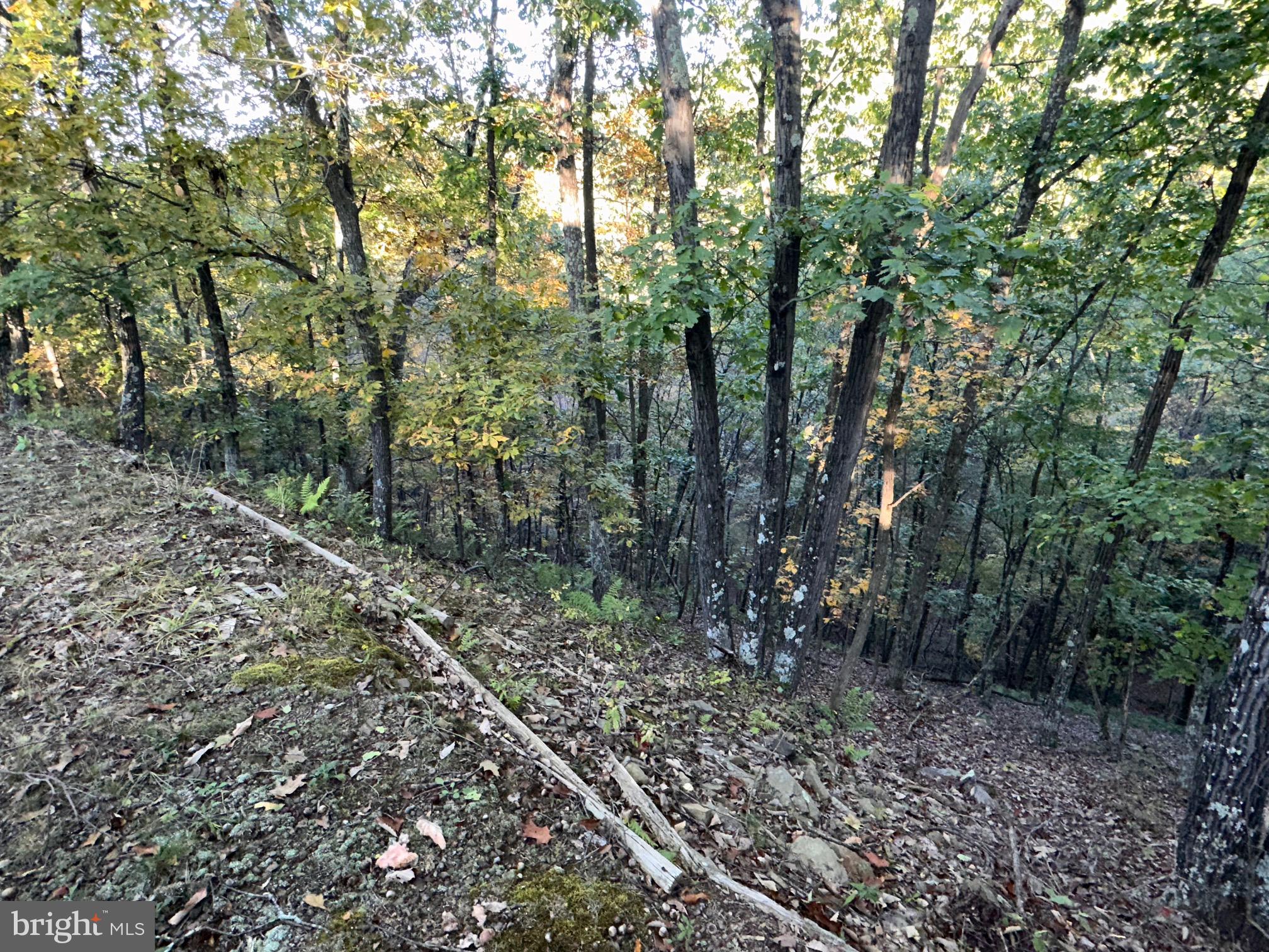 VALLEY HIGH TIMBER FARMS - Residential