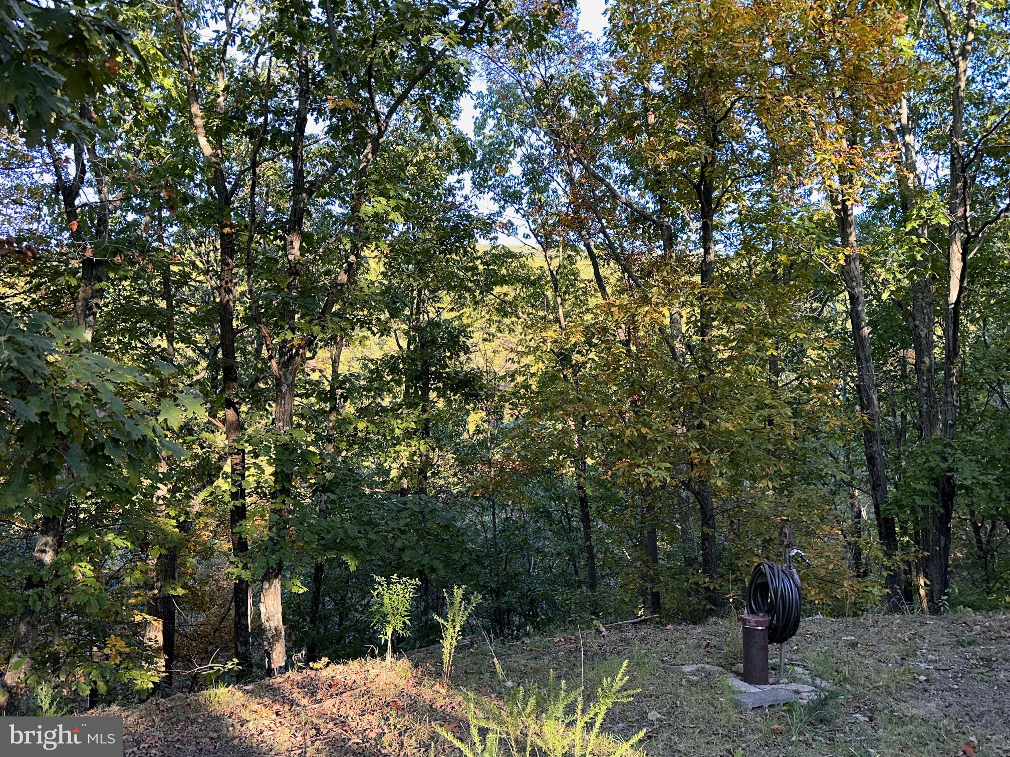 VALLEY HIGH TIMBER FARMS - Residential