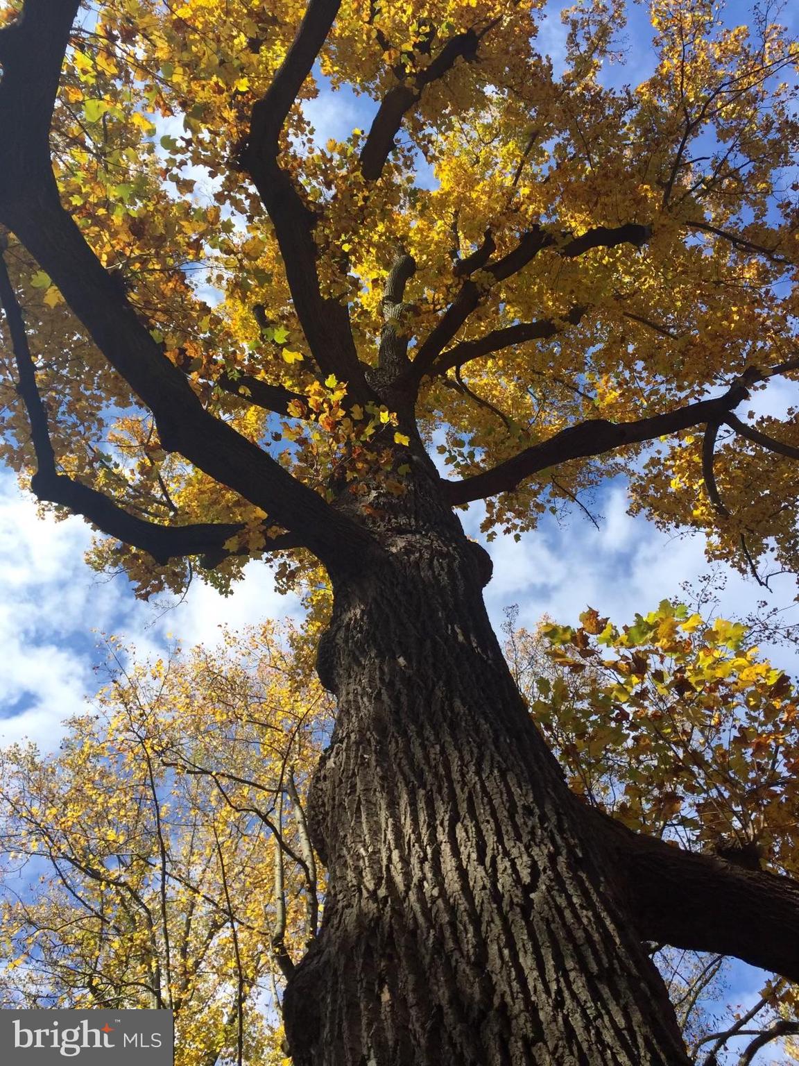 GLEN ELLEN - Residential