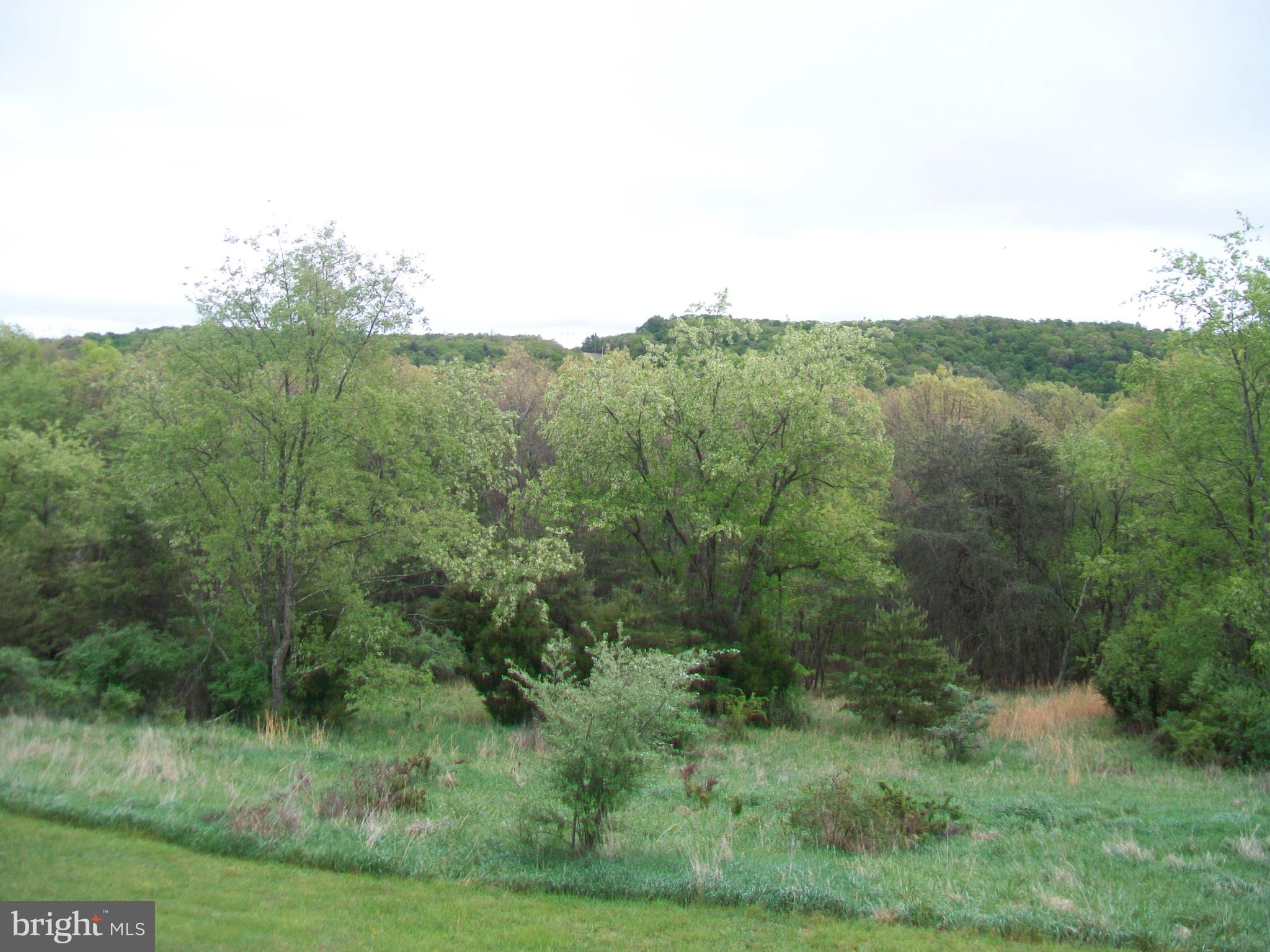 ROMNEY FRUIT RANCHES - Residential