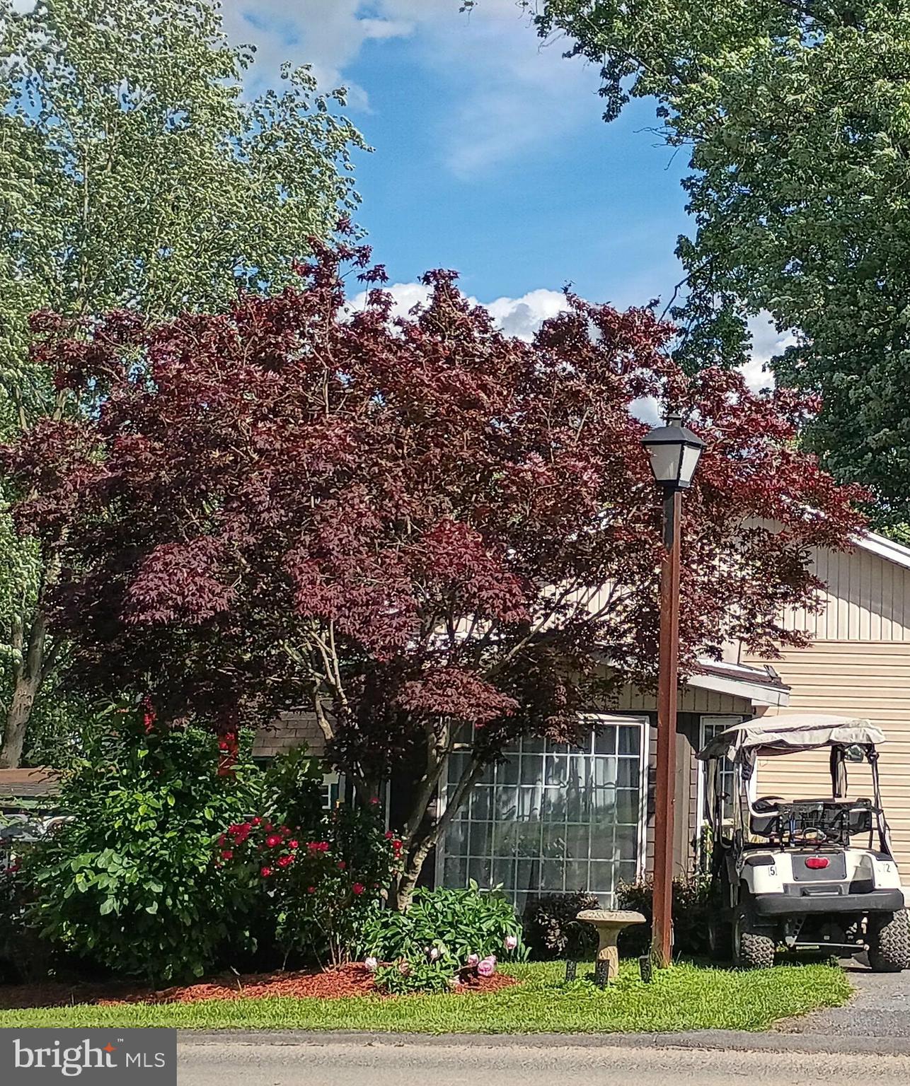 Block 5 Lots 2 & 3 POISON OAK ROAD