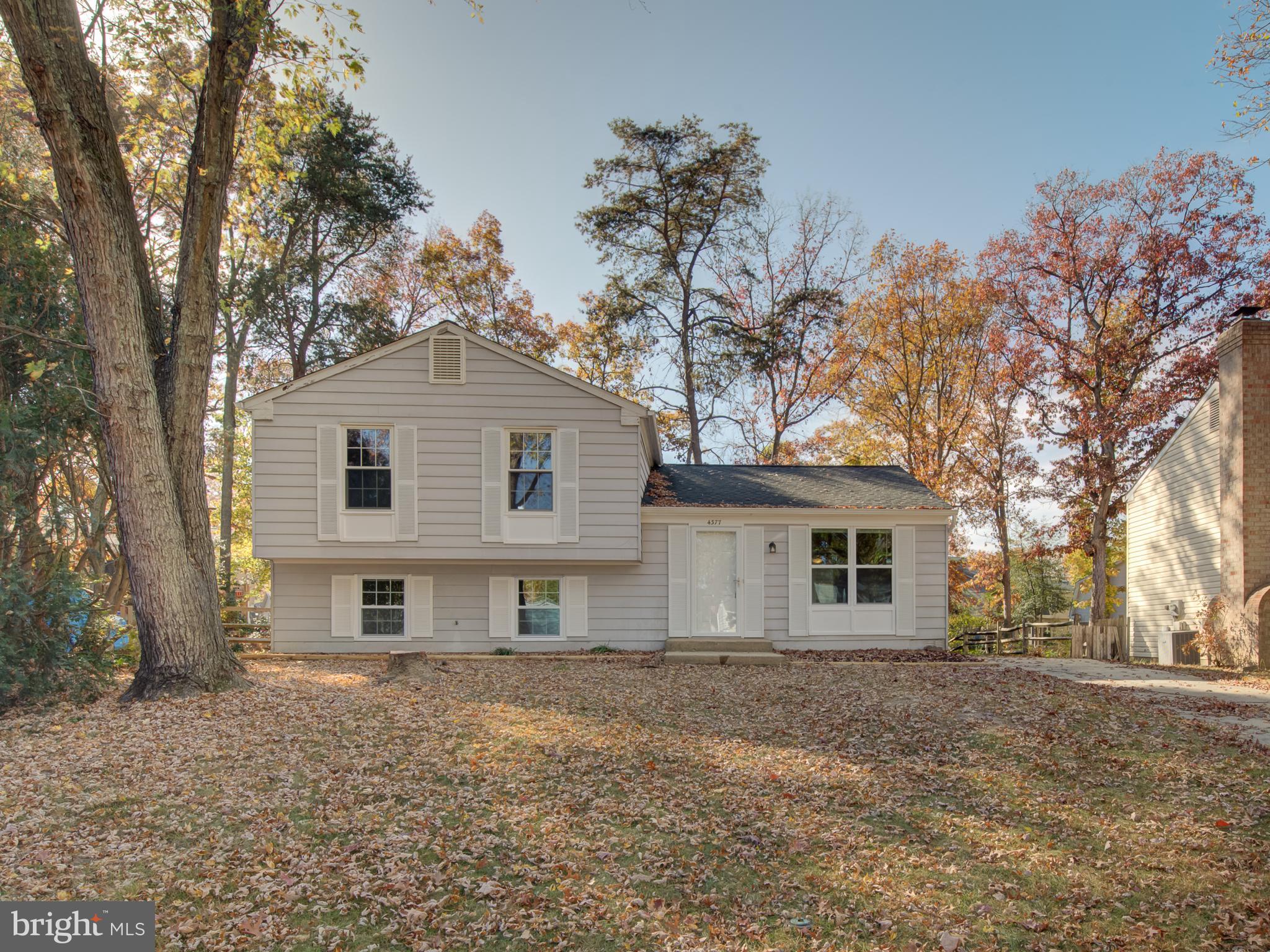 BANNISTER - Residential