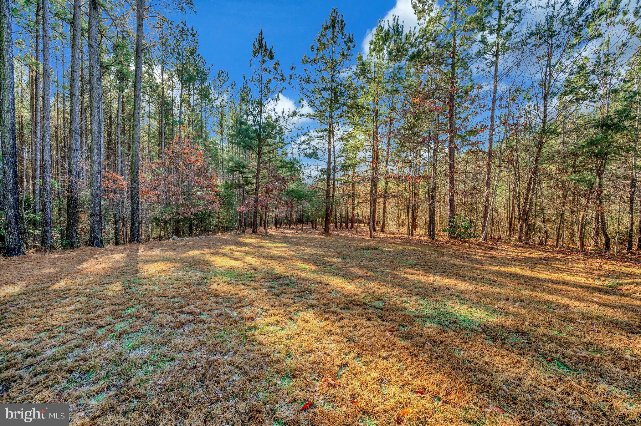 TAYLOR RIDGE ESTATES - Residential