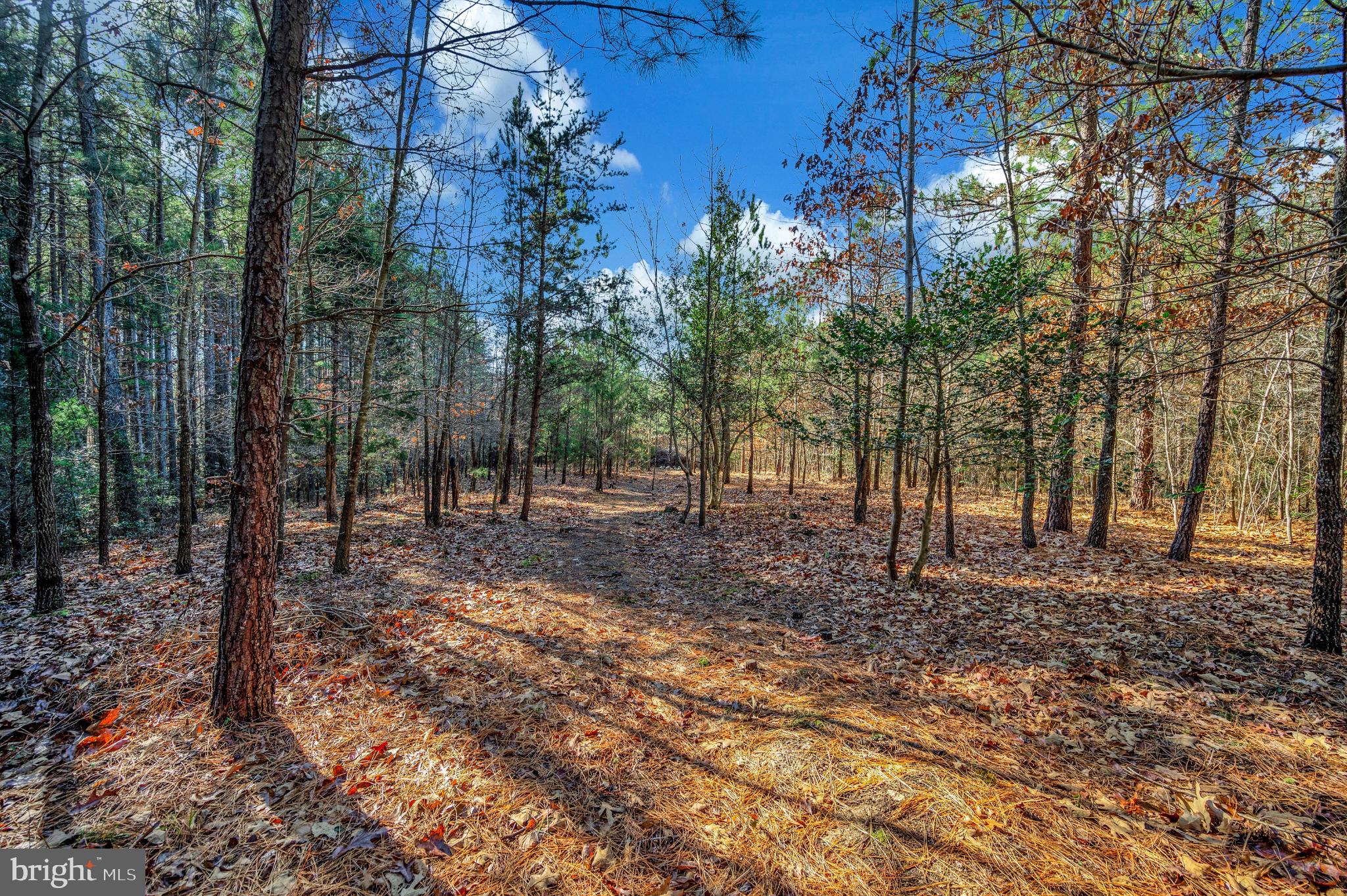 TAYLOR RIDGE ESTATES - Residential