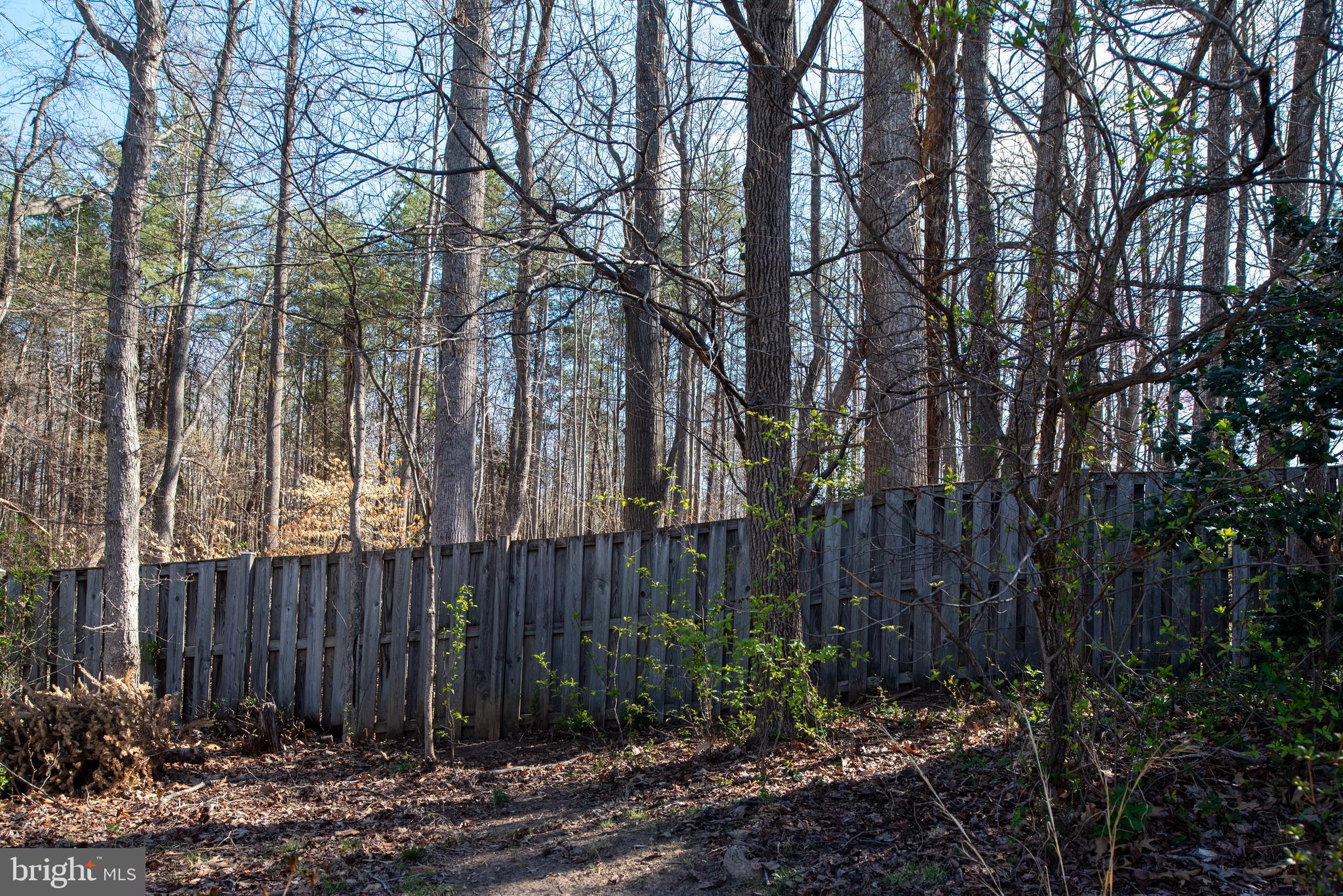 THE COLONIES OF PARK RIDGE - Residential