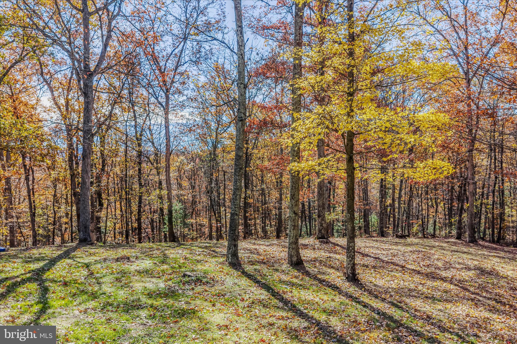 GREAT CACAPON - Residential Lease