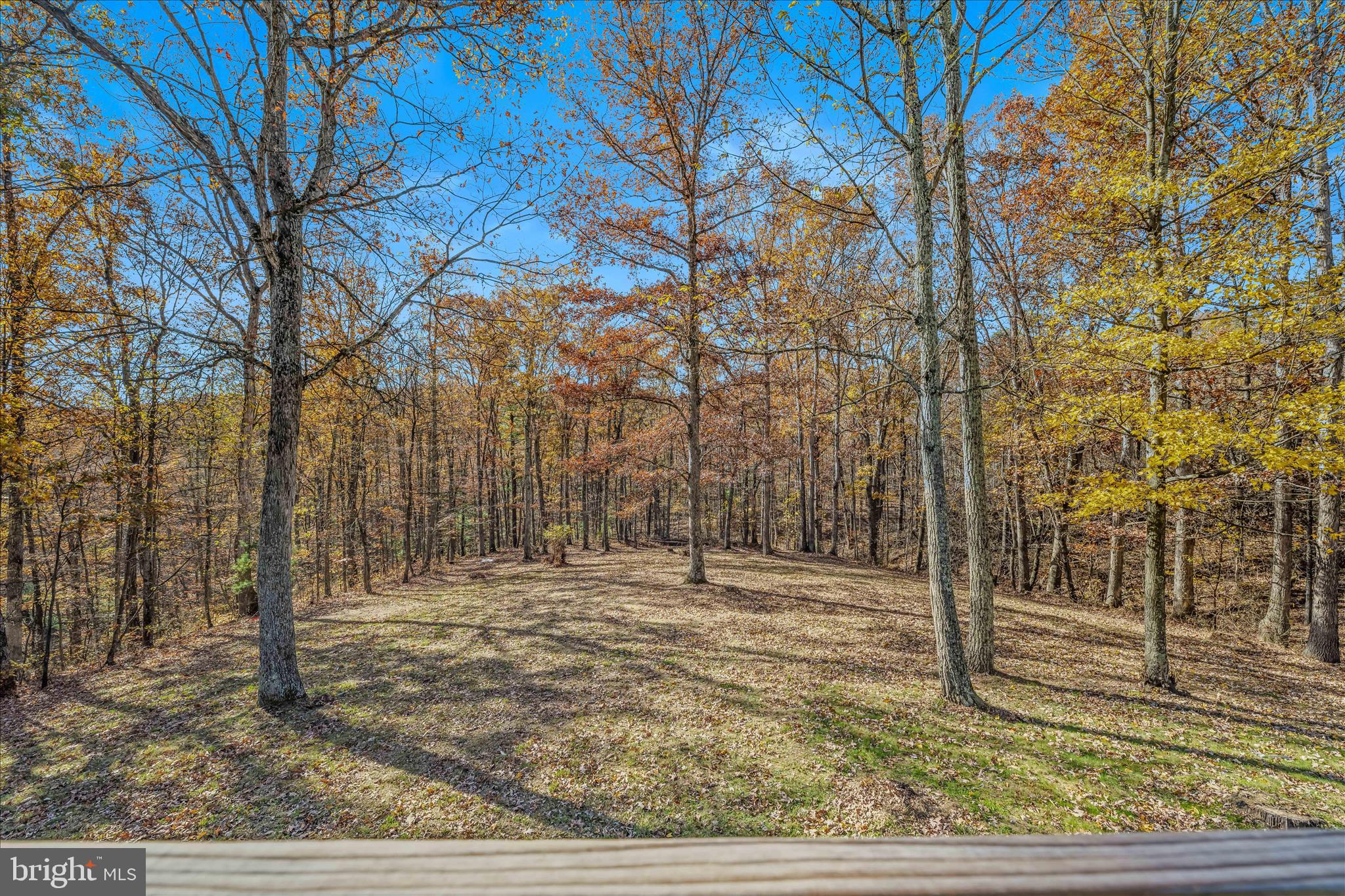 GREAT CACAPON - Residential Lease