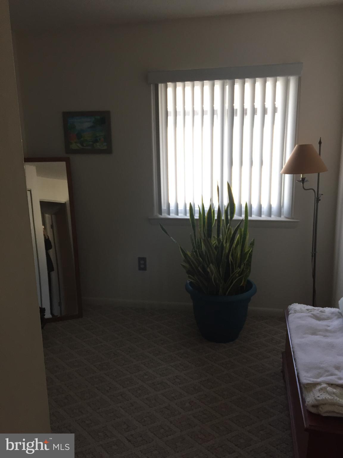 PINEWOOD FOREST - Residential