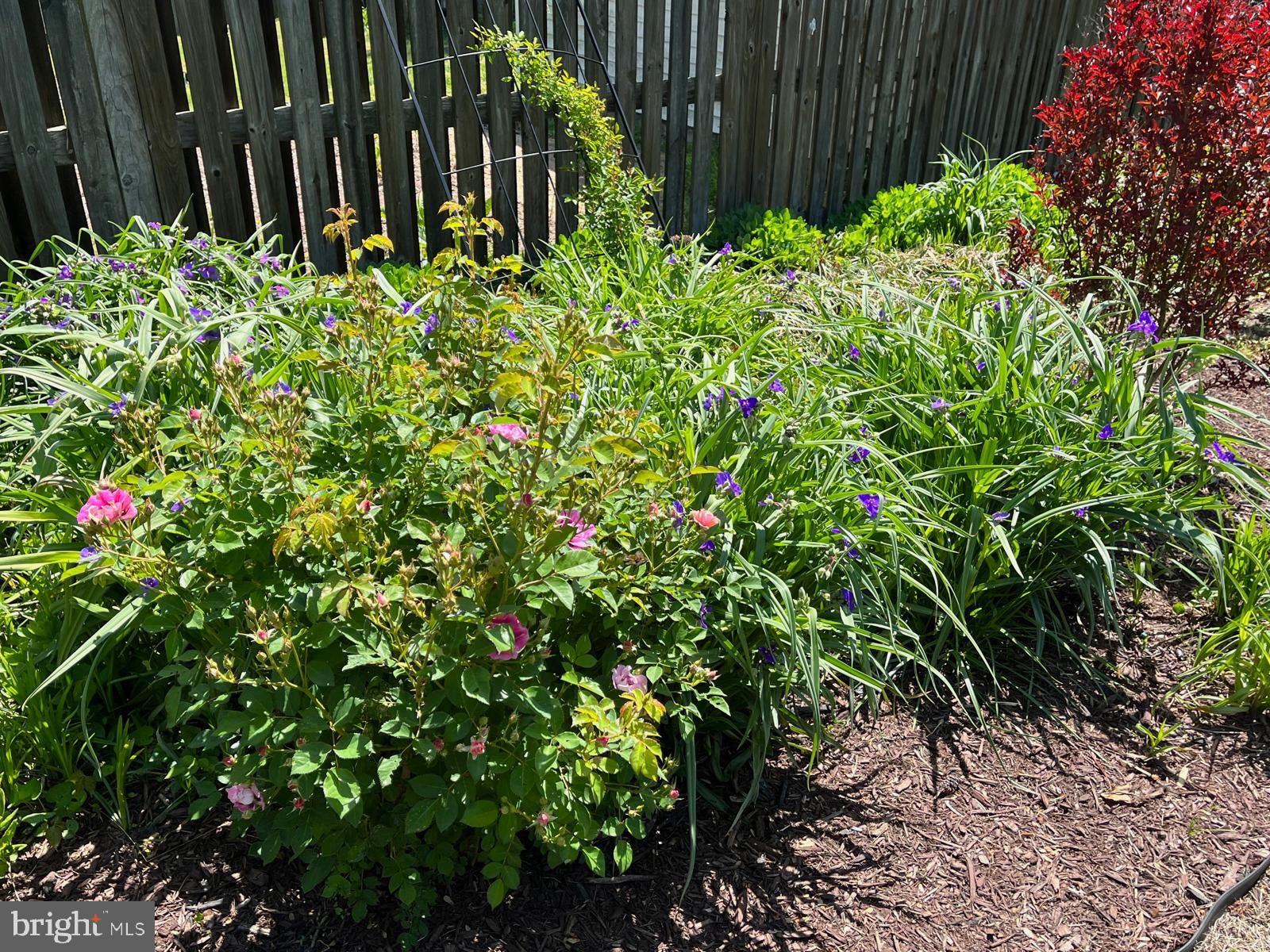 IDLEWILD AT BELAIR - Residential