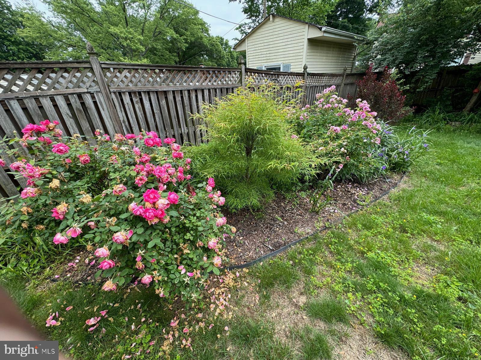 IDLEWILD AT BELAIR - Residential