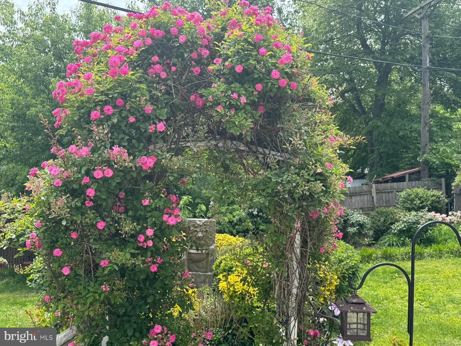 IDLEWILD AT BELAIR - Residential