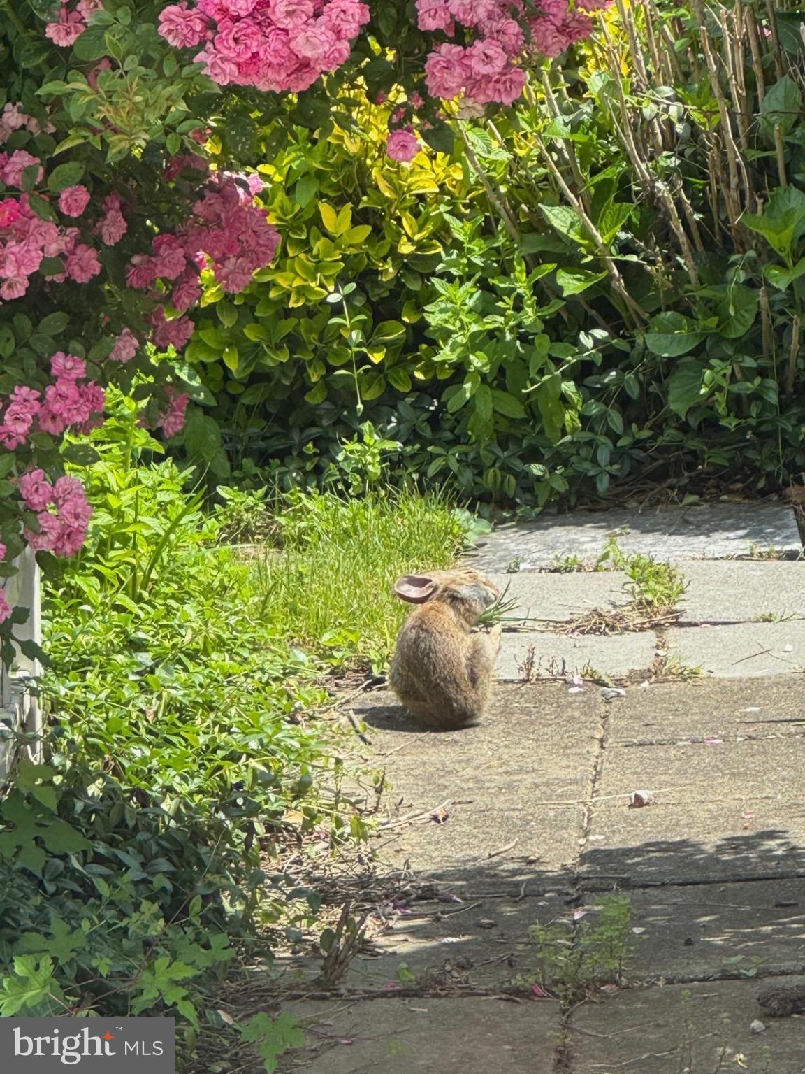 IDLEWILD AT BELAIR - Residential