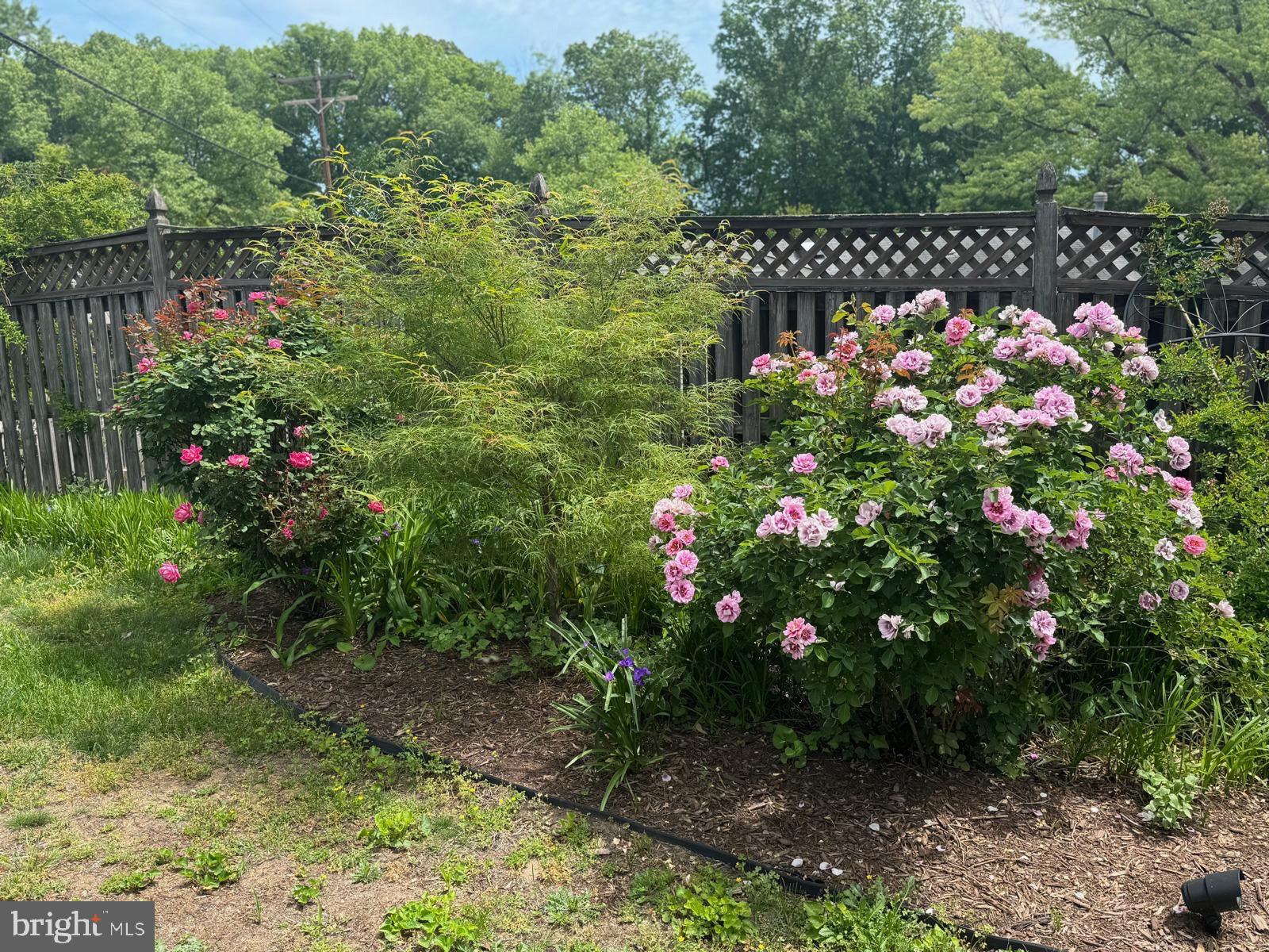 IDLEWILD AT BELAIR - Residential