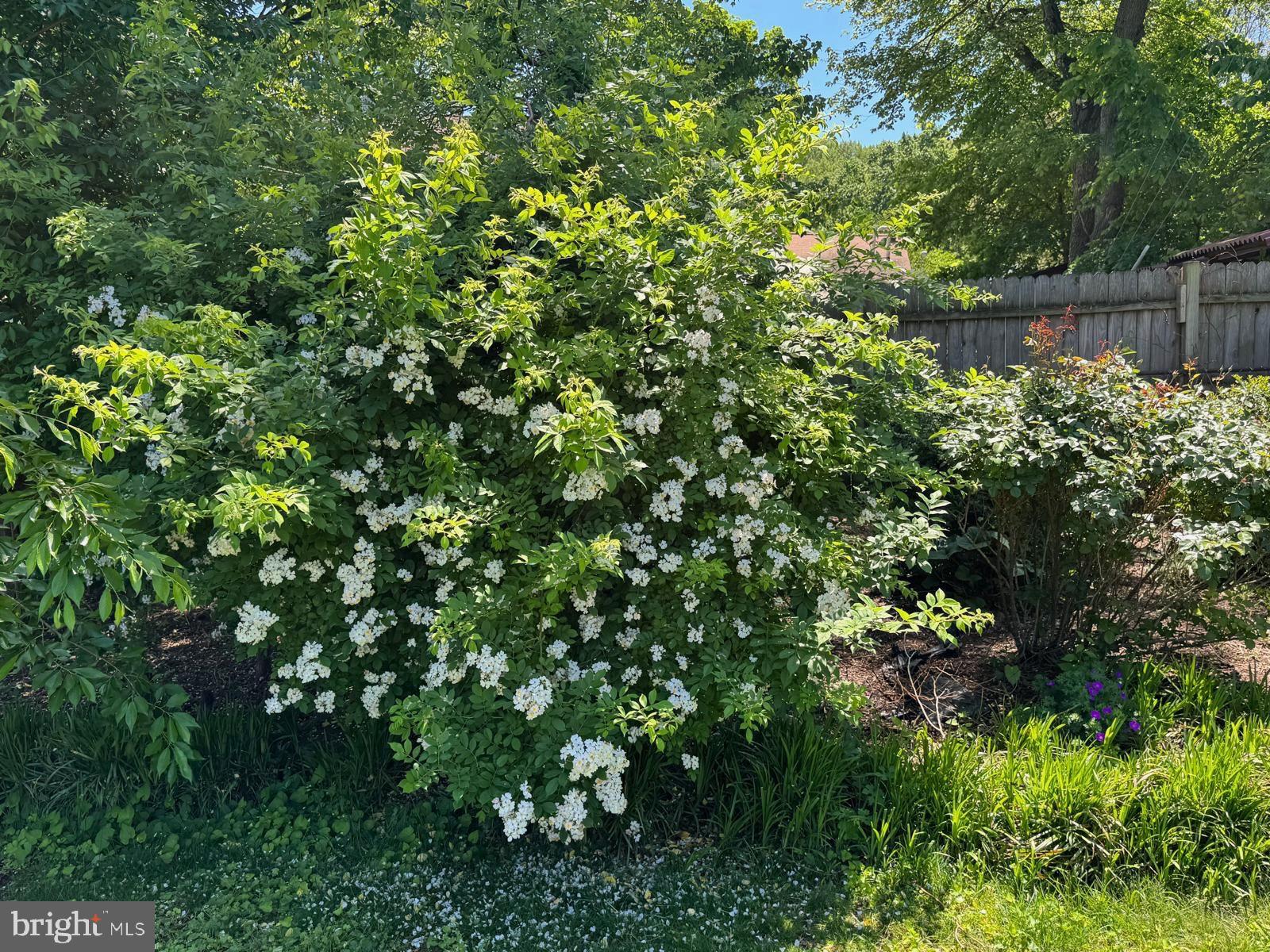 IDLEWILD AT BELAIR - Residential