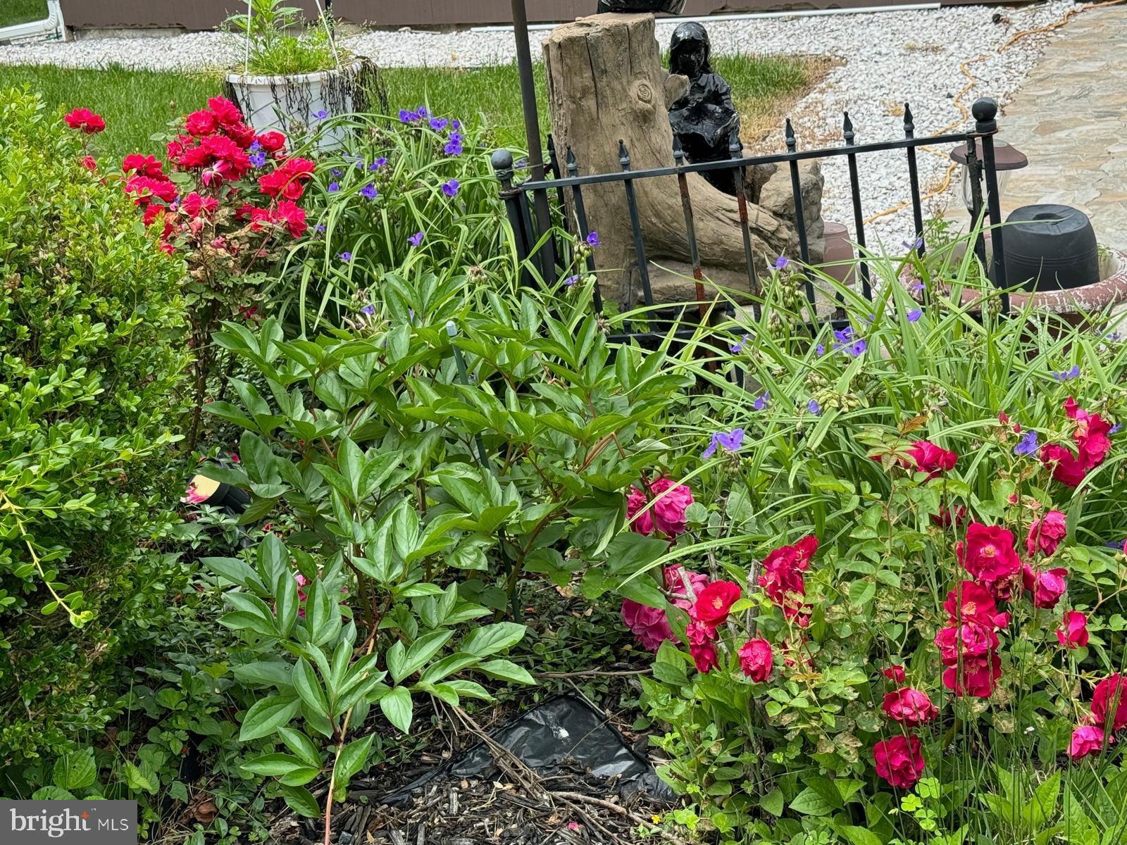 IDLEWILD AT BELAIR - Residential