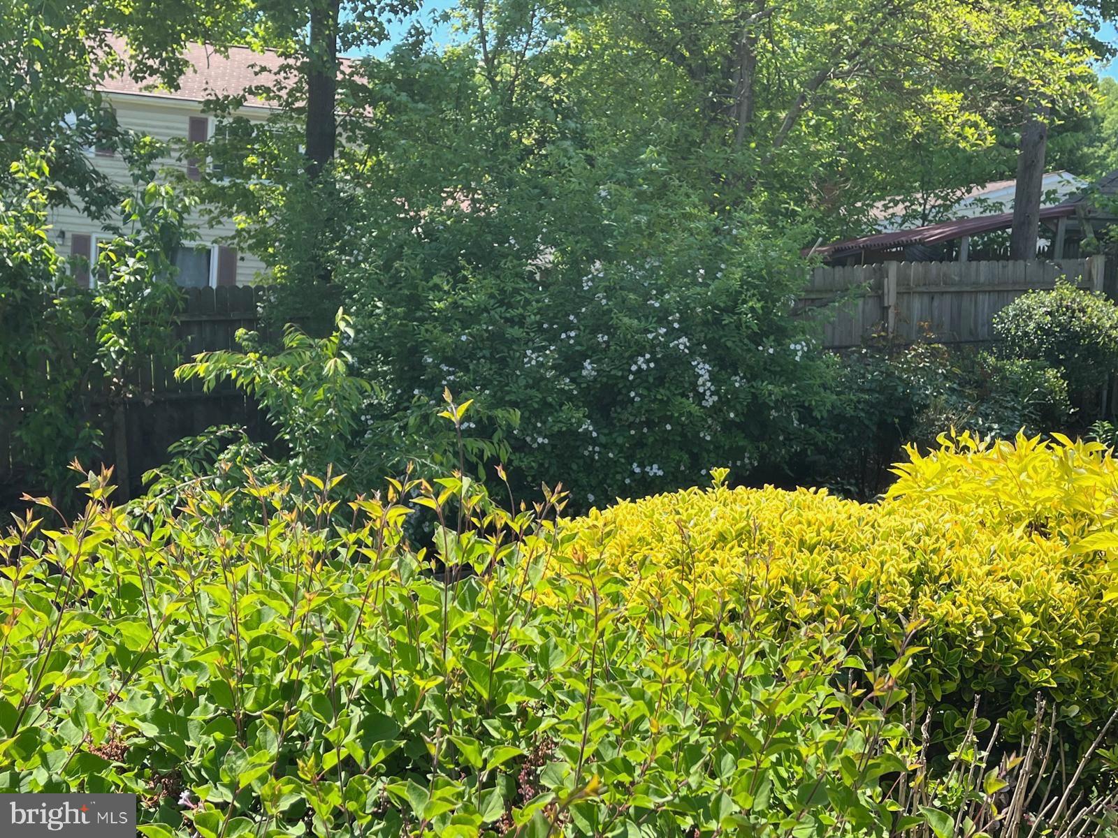 IDLEWILD AT BELAIR - Residential