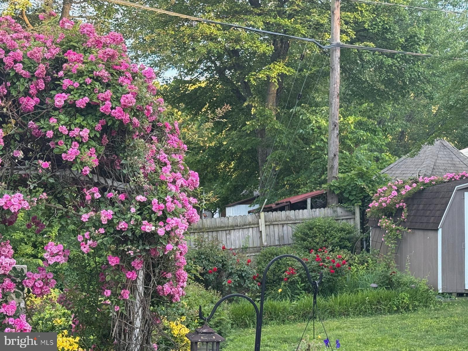 IDLEWILD AT BELAIR - Residential