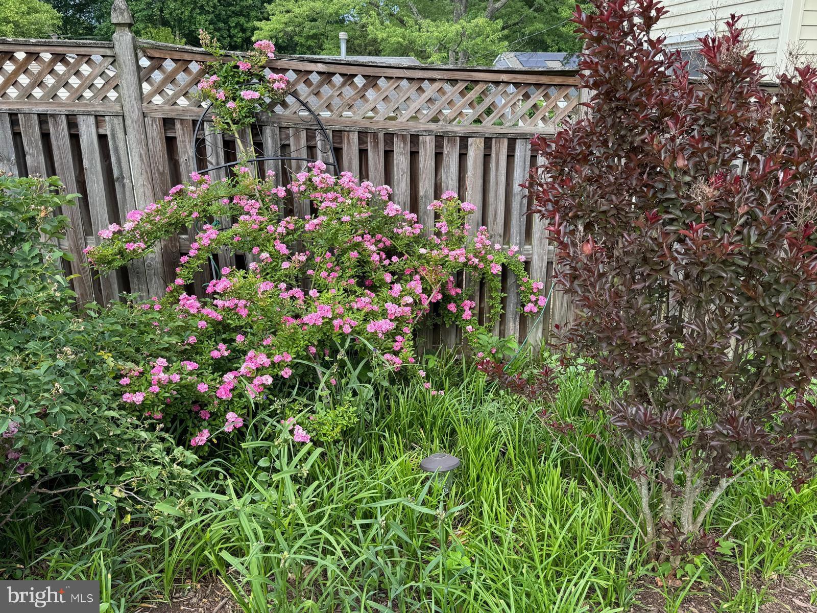 IDLEWILD AT BELAIR - Residential