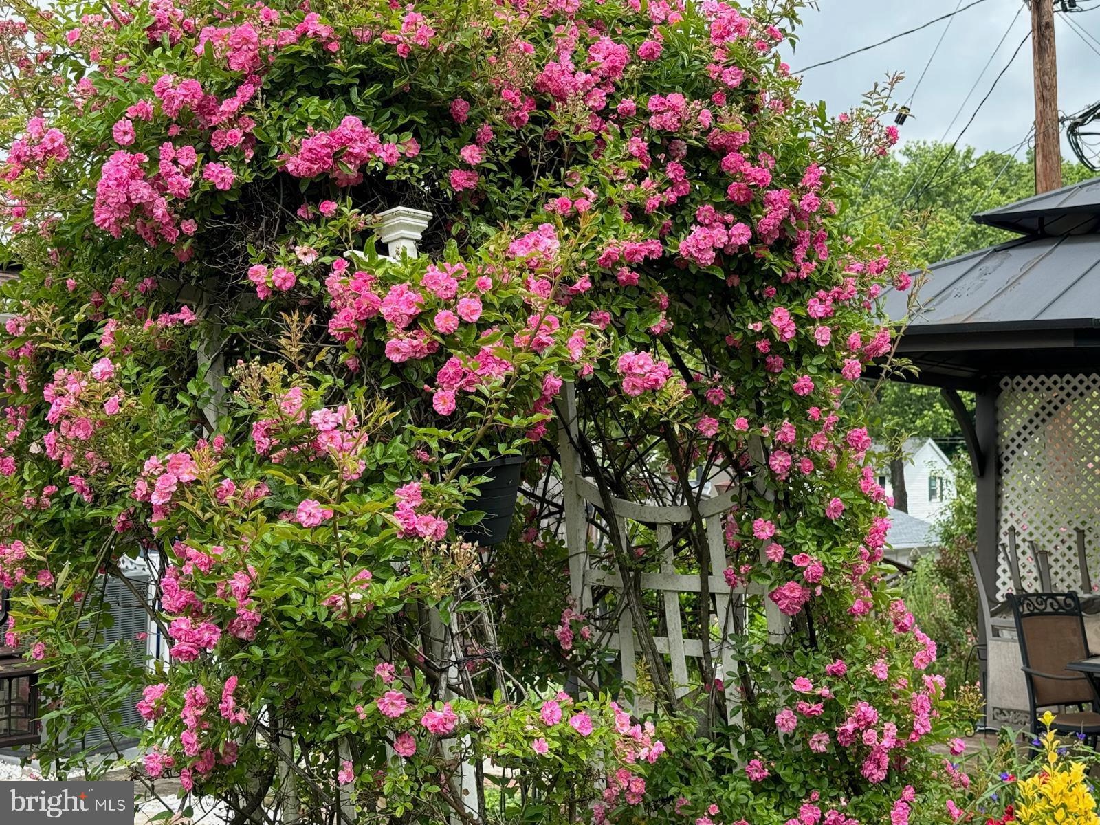 IDLEWILD AT BELAIR - Residential