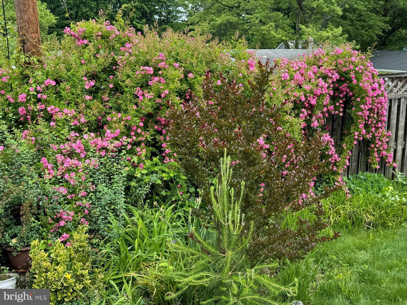 IDLEWILD AT BELAIR - Residential