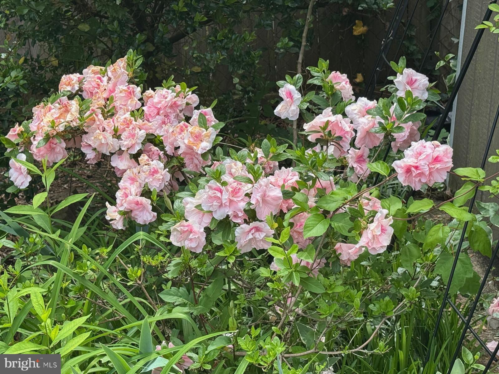 IDLEWILD AT BELAIR - Residential