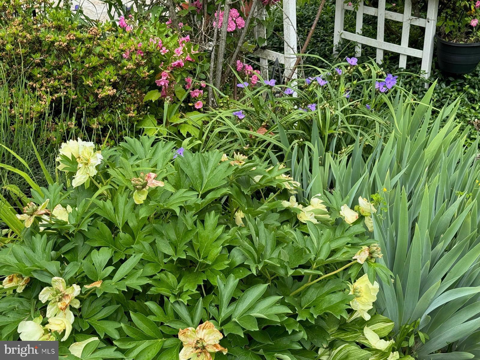 IDLEWILD AT BELAIR - Residential