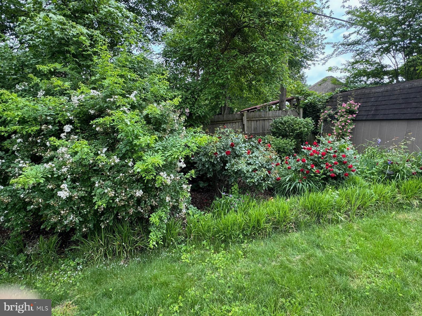 IDLEWILD AT BELAIR - Residential