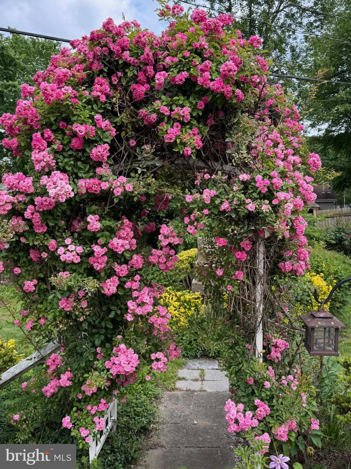 IDLEWILD AT BELAIR - Residential