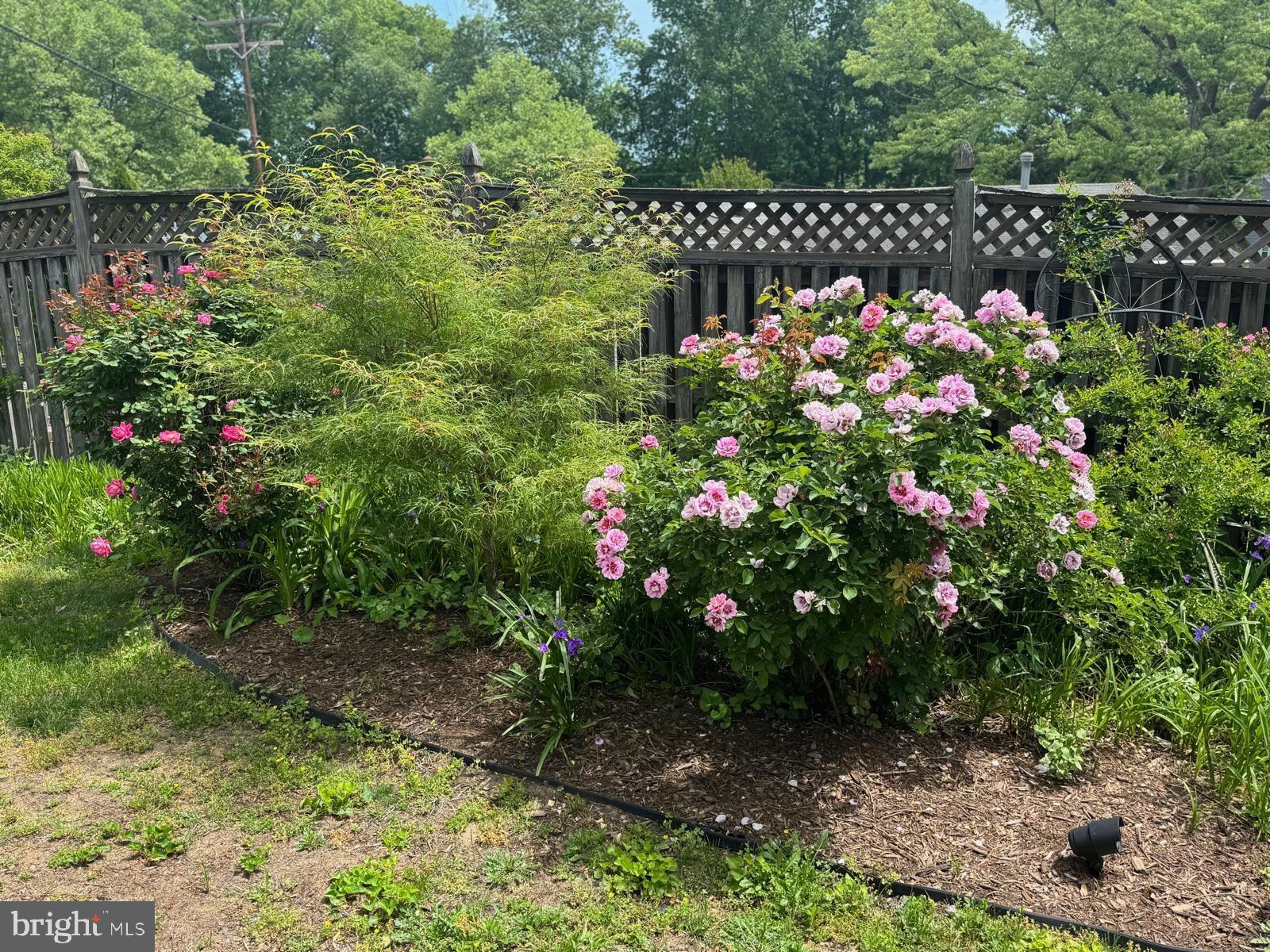 IDLEWILD AT BELAIR - Residential