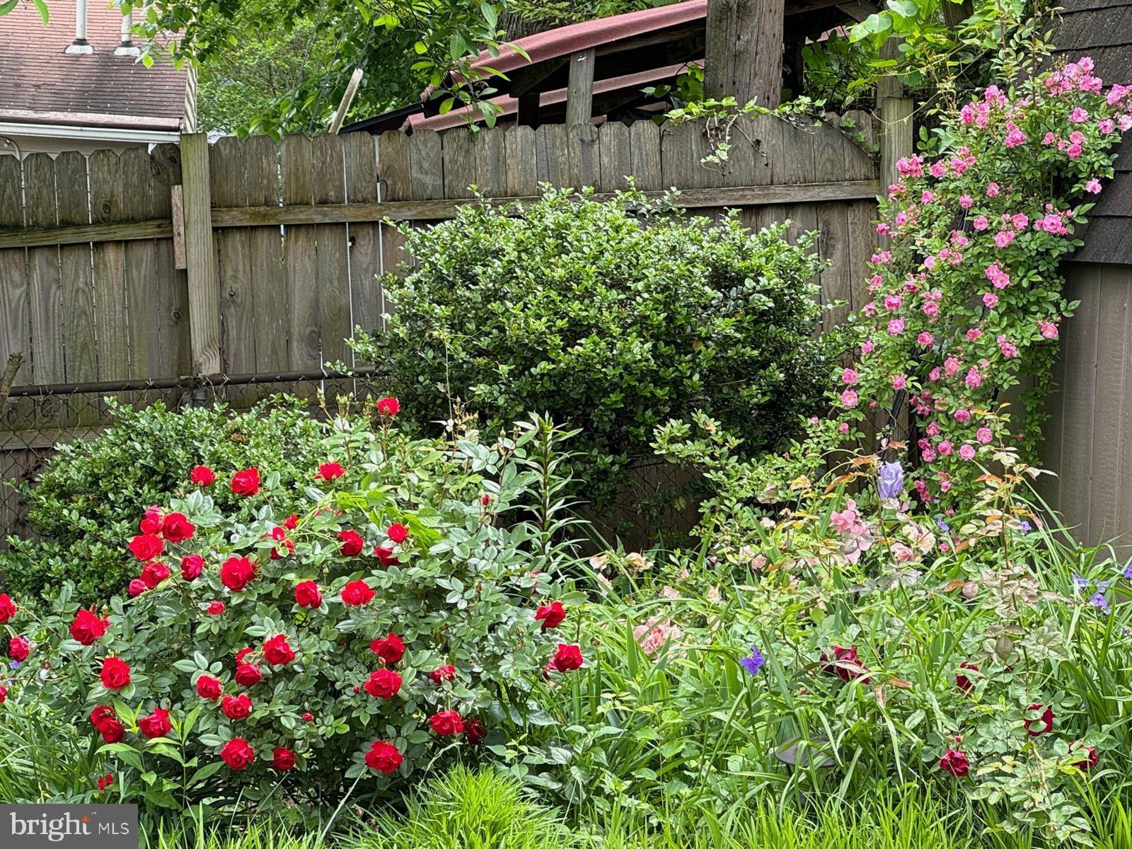 IDLEWILD AT BELAIR - Residential