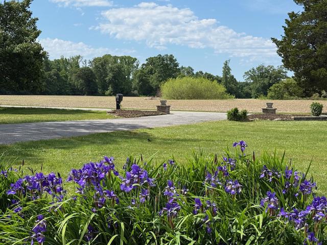GREAT OAK ESTATES - Residential