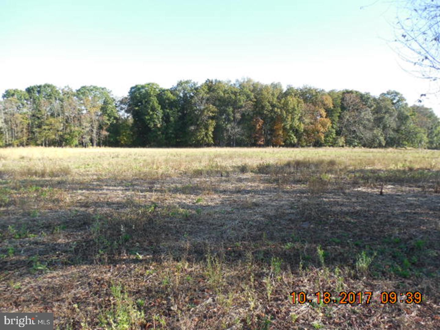 WINDROWS EDGE - Land