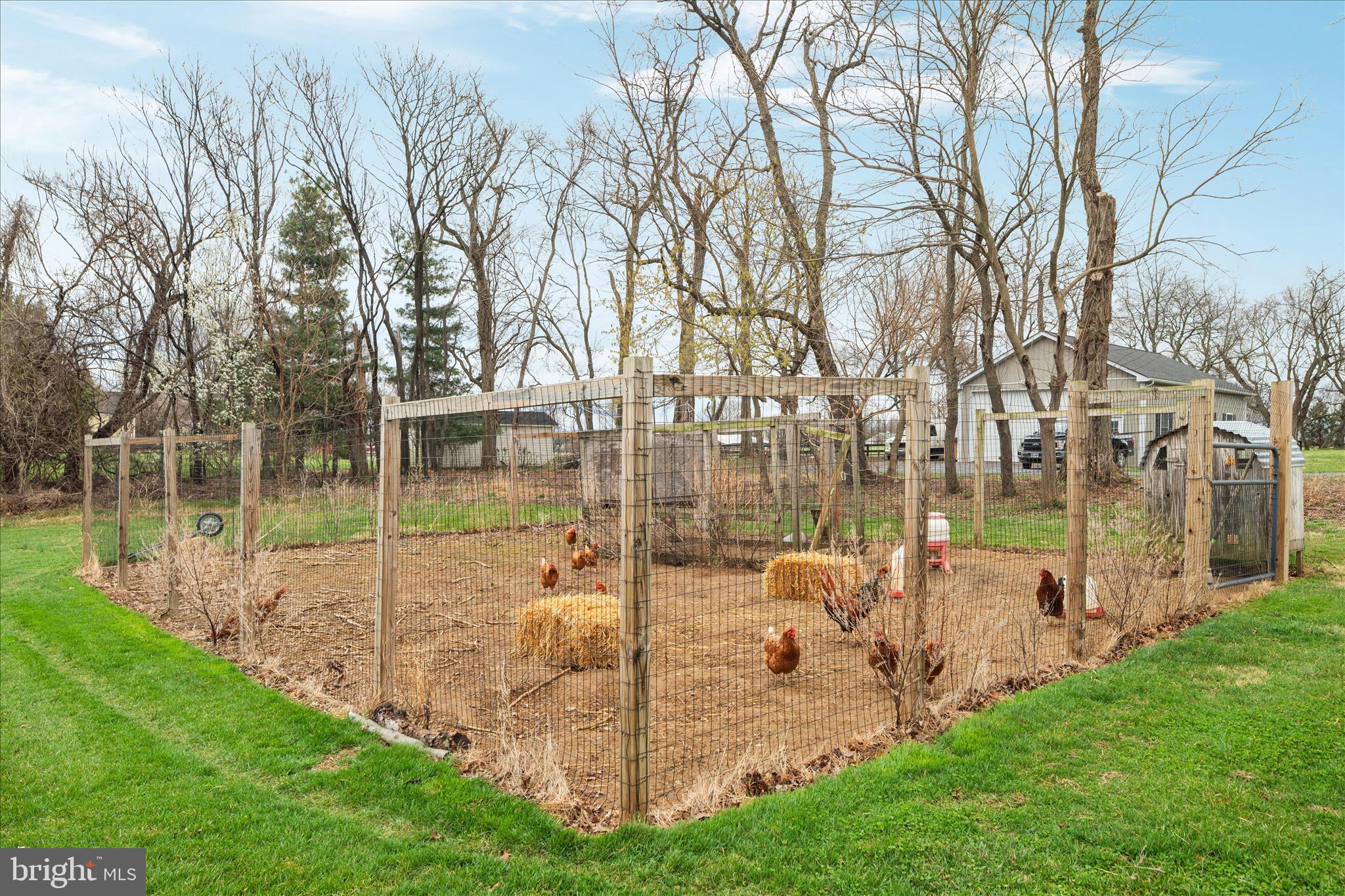 BOLINGTON ROAD - Residential