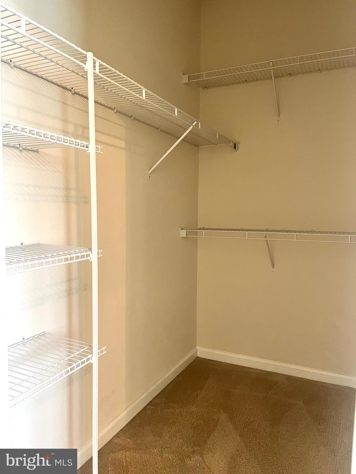 DORCHESTER WOODS - Residential Lease