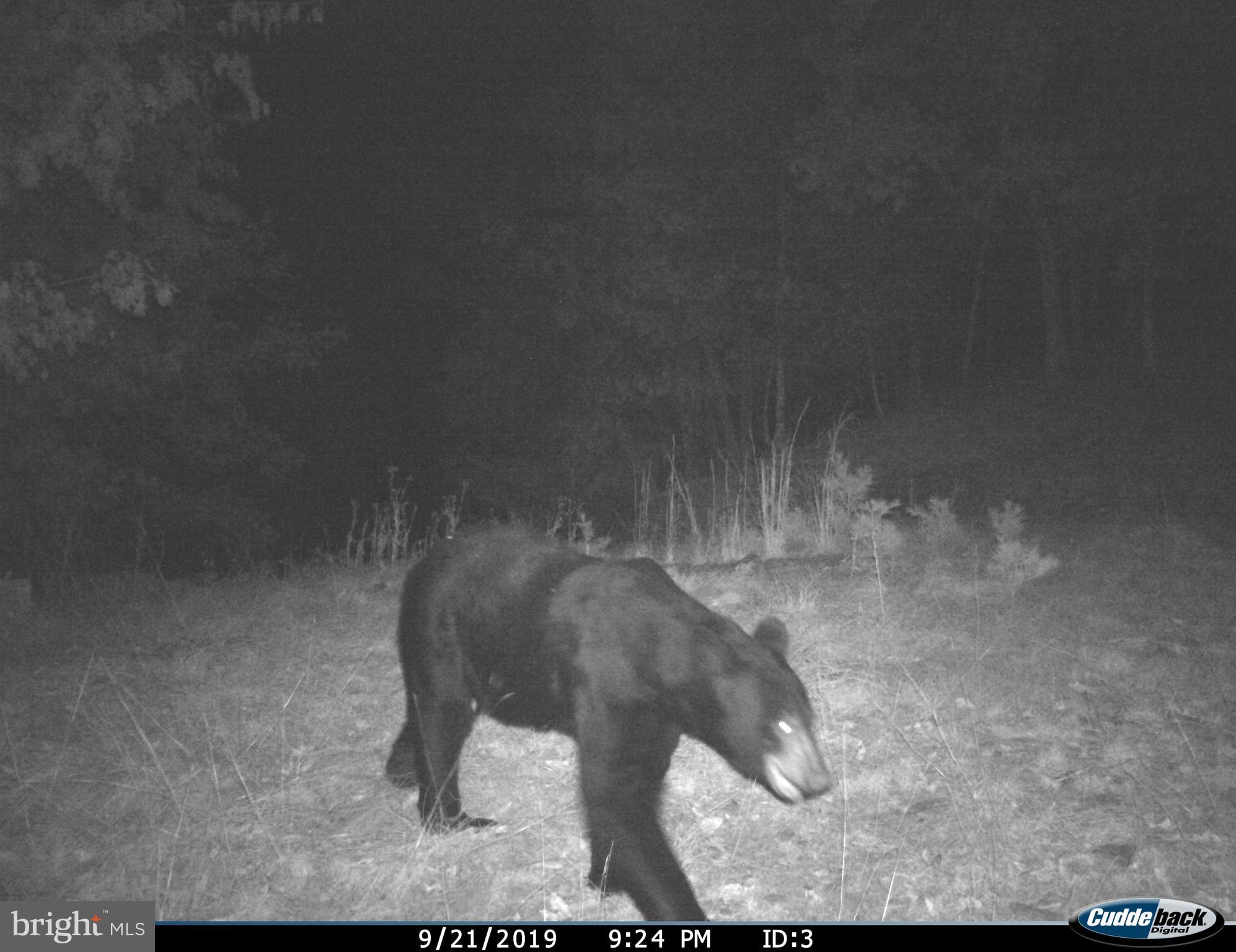 SHADOW KNOLLS - Residential