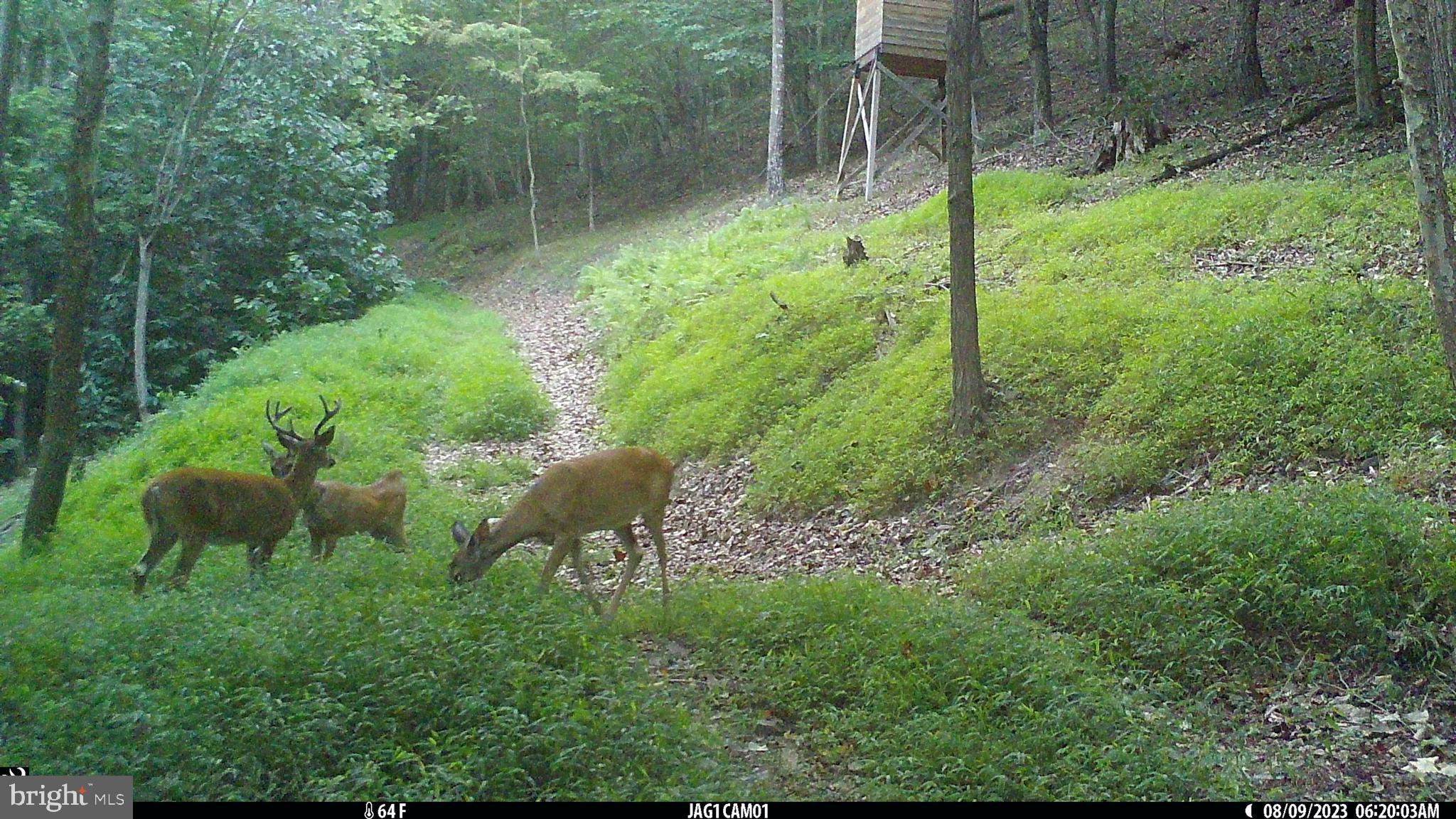 SHADOW KNOLLS - Residential