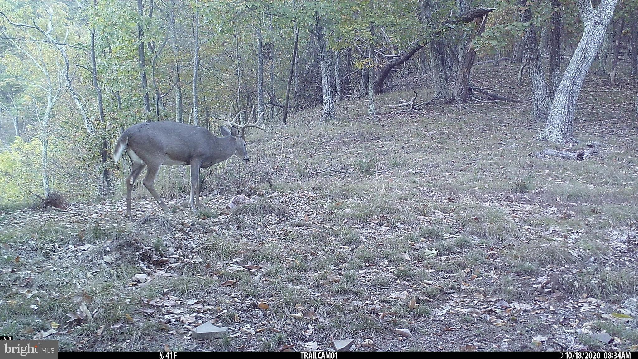 SHADOW KNOLLS - Residential